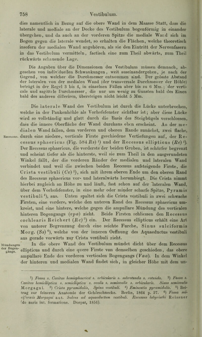 dies namentlich in Bezug auf die obere Wand in dem Maasse Statt, dass die laterale und mediale an der Decke des Vestibulum bogenförmig in einander übergehen, und da auch an der vorderen Spitze die mediale Ward sich im Bogen gegen die laterale wendet, so erhalten die Flächen, welche theoretisch insofern der medialen Wand angehören, als sie den Eintritt der Nervenfasern in das Vestibulum vermitteln, factisch eine zum Theil abwärts, zum Theil rückwärts schauende Lage. Die Angaben über die Dimensionen des Vestibulum müssen demnach, ab- gesehen von individuellen Schwankungen, weit auseinandergehen, je nach der Gegend, von welcher die Durchmesser entnommen sind. Der grösste Abstand der lateralen von der medialen Wand (der transversale Durchmesser der Höhle) beträgt in der Regel 3 bis 4, in einzelnen Fällen aber bis zu 6 Mm.; der verti- cale und sagittsle Durchmesser, die nur um wenig zu Gunsten bald des Einen bald des anderen differiren, übersteigen nicht leicht 5 Mm. Die laterale Wand des Vestibulum ist durch die Lücke unterbrochen, welche in der Paukenhöhle als Vorhofsfenster sichtbar ist; aber diese Lücke wird so vollständig und glatt durch die Basis des Steigbügels verschlossen, dass die innere Oberfläche der Wand durchaus eben erscheint. An der me- dialen Wand fallen, dem vorderen und oberen Rande zunächst, zwei flache, Recessus. durch eine niedere, verticale Firste geschiedene Vertiefungen auf, der Re- cessus sphaericus (Fig. 584Rs)}) und der Recessus ellipticus (Re) '2). Der Recessus sphaericus, die vorderste der beiden Gruben, ist schärfer begrenzt und scheint tiefer als die hinterste, weil sie zum Theil in den ausgerundeten Winkel fällt, der die vorderen Ränder der medialen und lateralen Wand verbindet und weil die zwischen beiden Recessus aufsteigende Firste, die Crista vestibuli (Cv)3), sich mit ihrem oberen Ende um den oberen Rand des Recessus sphaericus vor- und lateralwärts herumbiegt. Die Crista nimmt hierbei zugleich an Höhe zu und läuft, fast schon auf der lateralen Wand, über dem Vorhofsfenster, in eine mehr oder minder scharfe Spitze, Pyramis vestibuli4), aus. Unten spaltet sich die Crista vestibuli in zwei schwache Firsten, eine vordere, welche den unteren Rand des Recessus sphaericus um- kreist, und eine hintere, welche gegen die ampullare Mündung des verticalen hinteren Bogengangs (vpa) zieht. Beide Firsten schliessen den Recessus cochlearis Reichert (Rc) 5) ein. Der Recessus ellipticus erhält eine Art von unterer Begrenzung durch eine seichte Furche, Sinus sulciformis Morg. (Ss) 6), welche von der inneren Oeffnung des Aquaeductus vestibuli aus gerade vorwärts zur Crista vestibuli zieht. Mündungen In die obere Wand des Vestibulum mündet dicht über dem Recessus dergän°geen' ellipticus und durch eine quere Firste von demselben geschieden, das obere ampullare Ende des vorderen verticalen Bogengangs (Vaa). In dem Winkel der hinteren und medialen Wand findet sich, in gleicher Höhe mit dem un- !) Fossa s. Cavitas hemisphaericcC s. orbicularis s. subrotunda s. rotunda. 2) Fossa s. Cavitas hemielliptica s. semielliptica s. ovalis s. semiovalis s. orbicularis. Sinus semiovalis Morgagni. 3) Crista pyramidalis, Spina vestibuli. 4) Eminentia pyramidalis. 6) Bei- trag zur feineren Anatomie der Gehörschnecke. Berlin, 1864 p. 27. 6) Fossa sul- ciformis Morgagni aut. Sidcus ad aquaeductum vestibuli. Recessus labyrinthi Reissner (de auris int. formatione. Dorpat, 1851).