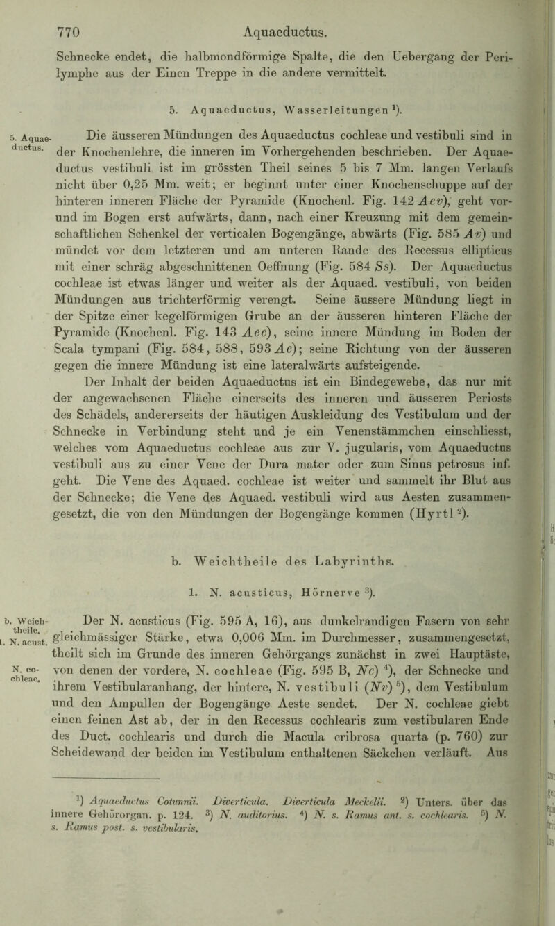 Schnecke endet, die halbmondförmige Spalte, die den Uebergang der Peri- lymphe aus der Einen Treppe in die andere vermittelt. 5. Aquaeductus, Wasserleitungen1). 5. Aquae- Die äusseren Mündungen des Aquaeductus cochleae und vestibuli sind in ductus. ^er Knochenlehre, die inneren im Vorhergehenden beschrieben. Der Aquae- ductus vestibuli ist im grössten Theil seines 5 bis 7 Mm. langen Verlaufs nicht über 0,25 Mm. weit; er beginnt unter einer Knochenschuppe auf der hinteren inneren Fläche der Pyramide (Knochenl. Fig. 142 A ev), geht vor- und im Bogen erst aufwärts, dann, nach einer Kreuzung mit dem gemein- schaftlichen Schenkel der verticalen Bogengänge, abwärts (Fig. 585 Av) und mündet vor dem letzteren und am unteren Rande des Recessus ellipticus mit einer schräg abgeschnittenen Oeffnung (Fig. 584 Ss). Der Aquaeductus cochleae ist etwas länger und weiter als der Aquaed. vestibuli, von beiden Mündungen aus trichterförmig verengt. Seine äussere Mündung liegt in der Spitze einer kegelförmigen Grube an der äusseren hinteren Fläche der Pyramide (Knochenl. Fig. 143 Aec), seine innere Mündung im Boden der Scala tympani (Fig. 584, 588, 593 Ac); seine Richtung von der äusseren gegen die innere Mündung ist eine lateralwärts aufsteigende. Der Inhalt der beiden Aquaeductus ist ein Bindegewebe, das nur mit der angewachsenen Fläche einerseits des inneren und äusseren Periosts des Schädels, andererseits der häutigen Auskleidung des Vestibulum und der Schnecke in Verbindung steht und je ein Venenstämmchen einschliesst, welches vom Aquaeductus cochleae aus zur V. jugularis, vom Aquaeductus vestibuli aus zu einer Vene der Dura mater oder zum Sinus petrosus inf. geht. Die Vene des Aquaed. cochleae ist weiter und sammelt ihr Blut aus der Schnecke; die Vene des Aquaed. vestibuli wird aus Aesten zusammen- gesetzt, die von den Mündungen der Bogengänge kommen (Hyrtl2). b. Weichtheile des Labyrinths. 1. N. acusticus, Hörnerve 3). b. Weich- Der N. acusticus (Fig. 595 A, 16), aus dunkelrandigen Fasern von sehr n.acust. S^ichmässiger Stärke, etwa 0,006 Mm. im Durchmesser, zusammengesetzt, theilt sich im Grunde des inneren Gehörgangs zunächst in zwei Hauptäste, ciie°e VOn ^enen der vor(lere, N. cochleae (Fig. 595 B, Nc) 4), der Schnecke und ihrem Vestibularanhang, der hintere, N. vestibuli (Nv)5), dem Vestibulum und den Ampullen der Bogengänge Aeste sendet. Der N. cochleae giebt einen feinen Ast ab, der in den Recessus cochlearis zum vestibulären Ende des Duct. cochlearis und durch die Macula cribrosa quarta (p. 760) zur Scheidewand der beiden im Vestibulum enthaltenen Säckchen verläuft. Aus 0 Aquaeductus Cotunnii. Diverticula. Diverticula Meckein. 2) Unters, über das innere Gehörorgan, p. 124. 3) N. auditorius. 4) N. s. Ramus ant. s. cochlearis. 5) N. s. Ramus post. s. vestibularis.