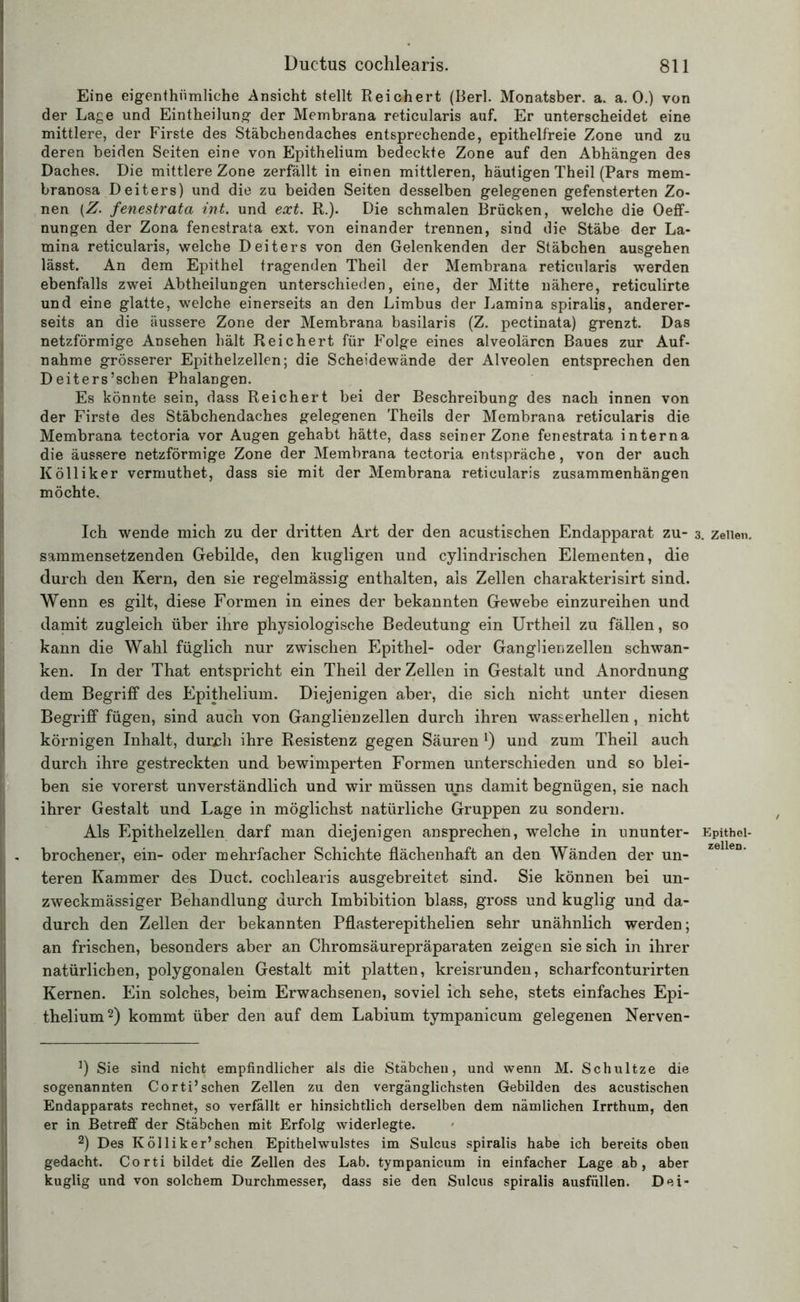 Eine eigentümliche Ansicht stellt Reichert (Berl. Monatsber. a. a. 0.) von der Lage und Eintheilung der Membrana reticularis auf. Er unterscheidet eine mittlere, der Firste des Stäbchendaches entsprechende, epithelfreie Zone und zu deren beiden Seiten eine von Epithelium bedeckte Zone auf den Abhängen des Daches. Die mittlere Zone zerfällt in einen mittleren, häutigen Theil (Pars mem- branosa Deiters) und die zu beiden Seiten desselben gelegenen gefensterten Zo- nen (Z. fenestrata int. und ext. R.). Die schmalen Brücken, welche die Oeff- nungen der Zona fenestrata ext. von einander trennen, sind die Stäbe der La- mina reticularis, welche Deiters von den Gelenkenden der Stäbchen ausgehen lässt. An dem Epithel tragenden Theil der Membrana reticularis werden ebenfalls zwei Abtheilungen unterschieden, eine, der Mitte nähere, reticulirte und eine glatte, welche einerseits an den Limbus der Lamina spiralis, anderer- seits an die äussere Zone der Membrana basilaris (Z. pectinata) grenzt. Das netzförmige Ansehen hält Reichert für Folge eines alveolären Baues zur Auf- nahme grösserer Epithelzellen; die Scheidewände der Alveolen entsprechen den Deiters’schen Phalangen. Es könnte sein, dass Reichert bei der Beschreibung des nach innen von der Firste des Stäbchendaches gelegenen Theils der Membrana reticularis die Membrana tectoria vor Augen gehabt hätte, dass seiner Zone fenestrata interna die äussere netzförmige Zone der Membrana tectoria entspräche, von der auch Kölliker vermuthet, dass sie mit der Membrana reticularis Zusammenhängen möchte. Ich wende mich zu der dritten Art der den acustischen Endapparat zu- sammensetzenden Gebilde, den kugligen und cylindrischen Elementen, die durch den Kern, den sie regelmässig enthalten, als Zellen charakterisirt sind. Wenn es gilt, diese Formen in eines der bekannten Gewebe einzureihen und damit zugleich über ihre physiologische Bedeutung ein Urtheil zu fällen, so kann die Wahl füglich nur zwischen Epithel- oder Ganglienzellen schwan- ken. In der That entspricht ein Theil der Zellen in Gestalt und Anordnung dem Begriff des Epithelium. Diejenigen aber, die sich nicht unter diesen Begriff fügen, sind auch von Ganglienzellen durch ihren wasserhellen, nicht körnigen Inhalt, dmych ihre Resistenz gegen Säuren l) und zum Theil auch durch ihre gestreckten und bewimperten Formen unterschieden und so blei- ben sie vorerst unverständlich und wir müssen uns damit begnügen, sie nach ihrer Gestalt und Lage in möglichst natürliche Gruppen zu sondern. Als Epithelzellen darf man diejenigen ansprechen, welche in ununter- brochener, ein- oder mehrfacher Schichte flächenhaft an den Wänden der un- teren Kammer des Duct. cochlearis ausgebreitet sind. Sie können bei un- zweckmässiger Behandlung durch Imbibition blass, gross und kuglig und da- durch den Zellen der bekannten Pflasterepithelien sehr unähnlich werden; an frischen, besonders aber an Chromsäurepräparaten zeigen sie sich in ihrer natürlichen, polygonalen Gestalt mit platten, kreisrunden, scharfconturirten Kernen. Ein solches, beim Erwachsenen, soviel ich sehe, stets einfaches Epi- thelium2) kommt über den auf dem Labium tympanicum gelegenen Nerven- ]) Sie sind nicht empfindlicher als die Stäbchen, und wenn M. Schultze die sogenannten Cor ti’sehen Zellen zu den vergänglichsten Gebilden des acustischen Endapparats rechnet, so verfällt er hinsichtlich derselben dem nämlichen Irrthum, den er in Betreff der Stäbchen mit Erfolg widerlegte. 2) Des Kölliker’sehen Epithelwulstes im Sulcus spiralis habe ich bereits oben gedacht. Corti bildet die Zellen des Lab. tympanicum in einfacher Lage ab, aber kuglig und von solchem Durchmesser, dass sie den Sulcus spiralis ausfüllen. Dei- t. Zellen, Epithel- zellen.