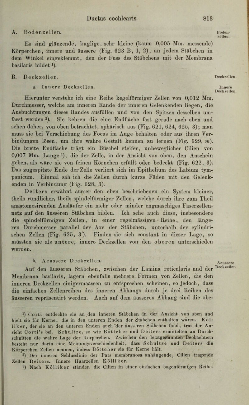 A. Bodenzellen. Es sind glänzende, kuglige, sehr kleine (kaum 0,005 Mm. messende) Körperchen, innere und äussere (Fig. 623 B, 1, 2), an jedem Stäbchen in dem Winkel eingeklemmt, den der Fuss des Stäbchens mit der Membrana basilaris bildet* 2). B. Deckzellen. a. Innere Deckzellen. Hierunter verstehe ich eine Reihe kegelförmiger Zellen von 0,012 Mm. Durchmesser, welche am inneren Rande der inneren Gelenkenden liegen, die Ausbuchtungen dieses Randes ausfüllen und von den Spitzen desselben um- fasst werden 2). Sie kehren die eine Endfläche fast gerade nach oben und sehen daher, von oben betrachtet, sphärisch aus (Fig. 621, 624, 625, 3); man muss sie bei Verschiebung des Focus im Auge behalten oder aus ihren Ver- bindungen lösen, um ihre wahre Gestalt kennen zu lernen (Fig. 629, m). Die breite Endfläche trägt ein Büschel steifer, unbeweglicher Cilien von 0,007 Mm. Länge3), die der Zelle, in der Ansicht von oben, den Anschein geben, als wäre sie von feinen Körnchen erfüllt oder bedeckt (Fig. 622, 3). Das zugespitzte Ende der Zelle verliert sich im Epithelium des Labium tym- panicum. Einmal sah ich die Zellen durch kurze Fäden mit den Gelenk- enden in Verbindung (Fig. 628, 3). Deiters erwähnt ausser den eben beschriebenen ein System kleiner, theils rundlicher, theils spindelförmiger Zellen, welche durch ihre zum Theil anastomosirenden Ausläufer ein mehr oder minder engmaschiges Faserzellen- netz auf den äusseren Stäbchen bilden. Ich sehe auch diese, insbesondere die spindelförmigen Zellen, in einer regelmässigen - Reihe, den länge- ren Durchmesser parallel der Axe der Stäbchen, unterhalb der cylindri- schen Zellen (Fig. 625, 3Finden sie sich constant in dieser Lage, so müssten sie als untere, innera Deckzellen von den oberen unterschieden werden. b. Aeussere Deckz-ellen. Auf den äusseren Stäbchen, zwischen der Lamina reticularis und der Membrana basilaris, lagern ebenfalls mehrere Formen von Zellen, die den inneren Deckzellen einigermaassen zu entsprechen scheinen, so jedoch, dass die einfachen Zellenreihen des inneren Abhangs durch je drei Reihen des äusseren repräsentirt werden. Auch auf dem äusseren Abhang sind die obe- J) Corti entdeckte sie an den inneren Stäbchen in der Ansicht von oben und hielt sie für Kerne, die in den unteren Enden der Stäbchen enthalten wären. Köl- liker, der sie an den unteren Enden auch‘der äusseren Stäbchen fand, trat der An- sicht Corti’s bei. Schultze, so wie Böttcher und Deiters ermittelten an Durch- schnitten die wahre Lage der Körperchen. Zwischen den letztgenannten Beobachtern besteht nur darin eine Meinungsverschiedenheit, dass Schultze und Deiters die Körperchen Zellen nennen, indess Böttcher sie für Kerne hält. 2) Der inneren Schlusslinie der Pars membranosa anhängende, Cilien tragende Zellen Deiters. Innere Haarzellen Kolli ker. 3) Nach Kolli ker ständen die Cilien in einer einfachen bogenförmigen Reihe. Boden- zelleu. Deckzellen. Innere Deckzellen. Aeussere Deckzellen