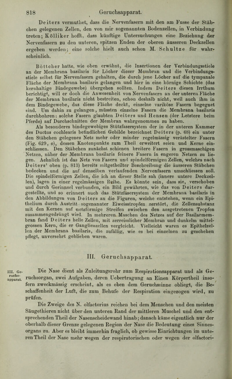 III. Ge- ruchs- apparat. Deiters vermuthet, dass die Nervenfasern mit den am Fusse der Stäb- chen gelegenen Zellen, den von mir sogenannten Bodenzellen, in Verbindung treten; Kölliker hofft, dass künftige Untersuchungen eine Beziehung der Nervenfasern zu den unteren, spitzen Enden der oberen äusseren Deckzellen ergeben werden; eine solche hielt auch schon M. Schultze für wahr- scheinlich. Böttcher hatte, wie oben erwähnt, die Insertionen der Verbindungsstiele an der Membrana basilaris für Löcher dieser Membran und die Verbindungs- stiele selbst für Nervenfasern gehalten, die durch jene Löcher auf die tympanale Fläche der Membrana basilaris gelangen und hier in eine körnige Schichte (das kernhaltige Bindegewebe) übergehen sollten. Indem Deiters diesen Irrthum berichtigt, will er doch die Anwesenheit von Nervenfasern an der unteren Fläche der Membrana basilaris nicht bestreiten, schon deshalb nicht, weil auch ihm in dem Bindegewebe, das diese Fläche deckt, einzelne variköse Fasern begegnet sind. Um dahin zu gelangen, müssten einzelne Fasern die Membrana basilaris durchbohren; solche Fasern glaubten Deiters und Hensen (der Letztere beim Pferde) auf Durchschnitten der Membran wahrgenommen zu haben. Als besonderes bindegewebiges Stützfasersystem der in der unteren Kammer des Ductus cochlearis befindlichen Gebilde bezeichnet Deiters (p. 68) ein unter den Stäbchen gelegenes Netz mehr oder minder regelmässig verästelter Fasern (Fig. 629, o), dessen Knotenpunkte zum Theil erweitert seien und Kerne ein- schliessen. Den Stäbchen zunächst schienen breitere Fasern in grossmaschigen Netzen, näher der Membrana basilaris feinere Fasern in engeren Netzen zu lie- gen. Aehnlich ist das Netz von Fasern und spindelförmigen Zellen, welches nach Deiters’ oben (p. 813) bereits mitgetbeilter Beschreibung die äusseren Stäbchen bedecken und die auf denselben verlaufenden Nervenfasern umschliessen soll. Die spindelförmigen Zellen, die ich an dieser Stelle sah (innere untere Deckzel- len), lagen in einer regelmässigen Reihe. Es könnte sein, dass sie, verschoben und durch Gerinnsel verbunden, ein Bild gewährten, wie das von Deiters dar- gestellte, und so erinnert auch das Stützfäsersystem der Membrana basilaris in den Abbildungen von Deiters an die Figuren, welche entstehen, wenn ein Epi- thelium durch Austritt sogenannter Eiweisstropfen zerstört, die Zellensubstanz mit den Kernen auf netzförmige Streifen zwischen den ausgetretenen Tropfen zusammengedrängt wird. In mehreren Maschen des Netzes auf der Basilarmem- bran fand Deiters helle Zellen, mit zerreisslicher Membran und dunkeim mittel- grossen Kern, die er Ganglienzellen vergleicht. Vielleicht waren es Epithelzel- len der Membrana basilaris, die zufällig, wie es bei einzelnen zu geschehen pflegt, unversehrt geblieben waren. III. Geruclisapparat. Die Nase dient als Zuleitungsrohr zum Respirationsapparat und als Ge- ruchsorgan, zwei Aufgaben, deren Uebertragung an Einen Körpertheil inso- fern zweckmässig erscheint, als es eben dem Geruchssinne obliegt, die Be- schaffenheit der Luft, die zum Behufe der Respiration eingezogen wird, zu prüfen. Die Zweige des N. olfactorius reichen bei dem Menschen und den meisten Säugethieren nicht über den unteren Rand der mittleren Muschel und den ent- sprechenden Theil der Nasenscheidewand hinab; danach käme eigentlich nur der oberhalb dieser Grenze gelegenen Region der Nase die Bedeutung eines Sinnes- organs zu. Aber es bleibt immerhin fraglich, ob gewisse Einrichtungen im unte- ren Theil der Nase mehr wegen der respiratorischen oder wegen der olfactori-