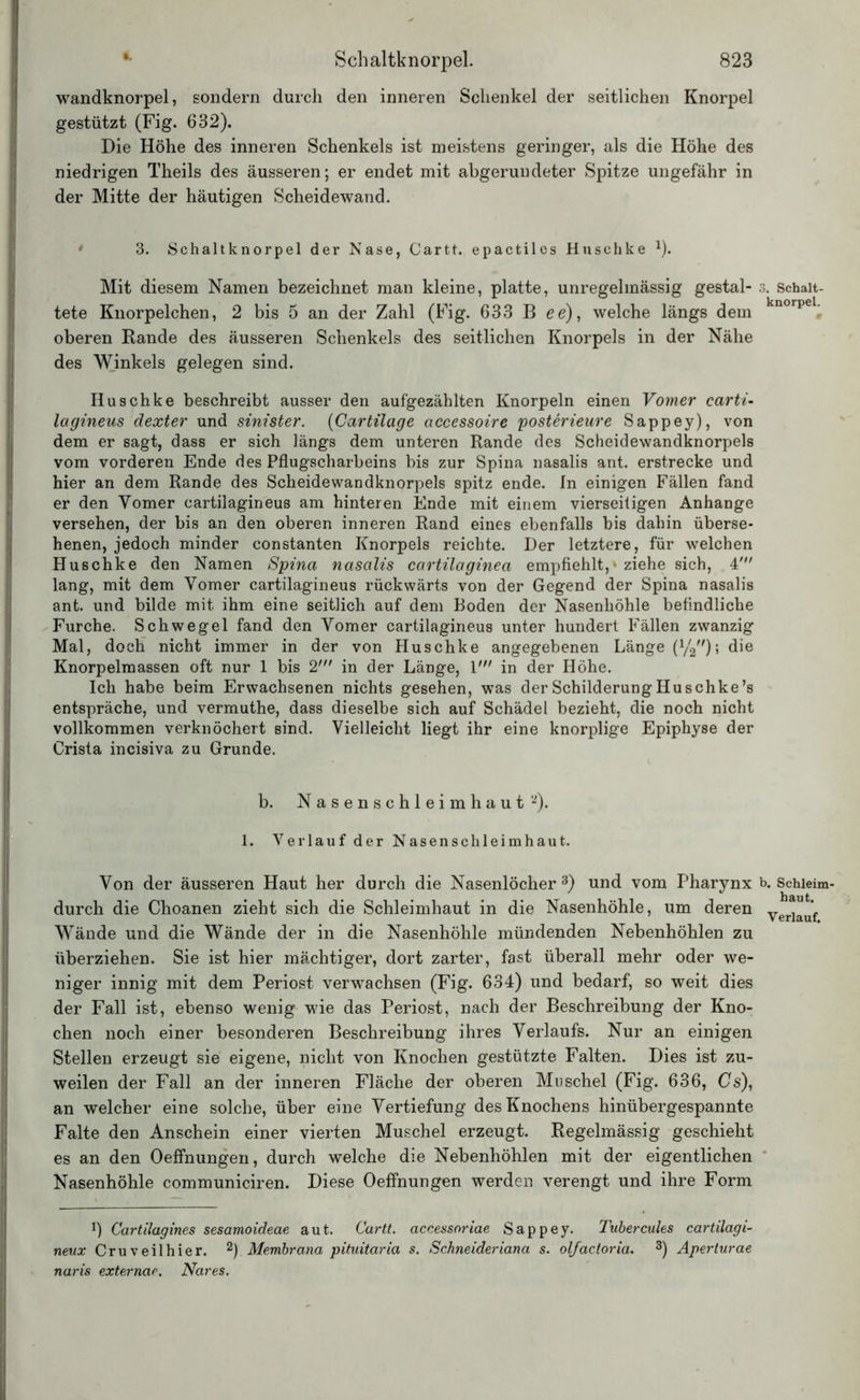 wandknorpel, sondern durch den inneren Schenkel der seitlichen Knorpel gestützt (Fig. 632). Die Höhe des inneren Schenkels ist meistens geringer, als die Höhe des niedrigen Theils des äusseren; er endet mit abgerundeter Spitze ungefähr in der Mitte der häutigen Scheidewand. 3. Schaltknorpel der Nase, Cartt. epactiles Huschke J). Mit diesem Namen bezeichnet man kleine, platte, unregelmässig gestal- tete Knorpelchen, 2 bis 5 an der Zahl (Fig. 633 B ee), welche längs dem oberen Rande des äusseren Schenkels des seitlichen Knorpels in der Nähe des Winkels gelegen sind. Huschke beschreibt ausser den aufgezählten Knorpeln einen Vomer carti- lagineus dexter und sinister. (Cartilage accessoire posterieure Sappey), von dem er sagt, dass er sich längs dem unteren Rande des Scheidewandknorpels vom vorderen Ende des Pflugscharbeins bis zur Spina nasalis ant. erstrecke und hier an dem Rande des Scheidewandknorpels spitz ende. In einigen Fällen fand er den Yomer cartilagineus am hinteren Ende mit einem vierseitigen Anhänge versehen, der bis an den oberen inneren Rand eines ebenfalls bis dahin überse- henen, jedoch minder constanten Knorpels reichte. Der letztere, für welchen Huschke den Namen Spina nasalis cartilaginea empfiehlt,* ziehe sich, 4' lang, mit dem Yomer cartilagineus rückwärts von der Gegend der Spina nasalis ant. und bilde mit ihm eine seitlich auf dem Boden der Nasenhöhle befindliche Furche. Schwegel fand den Yomer cartilagineus unter hundert Fällen zwanzig Mal, doch nicht immer in der von Huschke angegebenen Länge (1/2,,)5 die Knorpelmassen oft nur 1 bis 2' in der Länge, 1' in der Höhe. Ich habe beim Erwachsenen nichts gesehen, was der Schilderung Huschke’s entspräche, und vermuthe, dass dieselbe sich auf Schädel bezieht, die noch nicht vollkommen verknöchert sind. Vielleicht liegt ihr eine knorplige Epiphyse der Crista incisiva zu Grunde. b. Nasenschleimhaut *2). 1. Verlauf der Nasenschleimhaut. Yon der äusseren Haut her durch die Nasenlöcher3) und vom Pharynx durch die Choanen zieht sich die Schleimhaut in die Nasenhöhle, um deren Wände und die Wände der in die Nasenhöhle mündenden Nebenhöhlen zu überziehen. Sie ist hier mächtiger, dort zarter, fast überall mehr oder we- niger innig mit dem Periost verwachsen (Fig. 634) und bedarf, so weit dies der Fall ist, ebenso wenig wie das Periost, nach der Beschreibung der Kno- chen noch einer besonderen Beschreibung ihres Verlaufs. Nur an einigen Stellen erzeugt sie eigene, nicht von Knochen gestützte Falten. Dies ist zu- weilen der Fall an der inneren Fläche der oberen Muschel (Fig. 636, Cs), an welcher eine solche, über eine Vertiefung des Knochens hinübergespannte Falte den Anschein einer vierten Muschel erzeugt. Regelmässig geschieht es an den Oeffnungen, durch welche die Nebenhöhlen mit der eigentlichen Nasenhöhle communiciren. Diese Oeffnungen werden verengt und ihre Form J) Cartilagin.es sesamoideae aut. Cartt. accessoriae Sappey. Tubercules cartilagi- neux Cruveilhier. 2) Membrana pituitaria s. Schneideriana s. olfactoria. 3) Aperturae naris externae. Nares. 3. Schalt- knorpel. b. Schleim- haut. Verlauf.