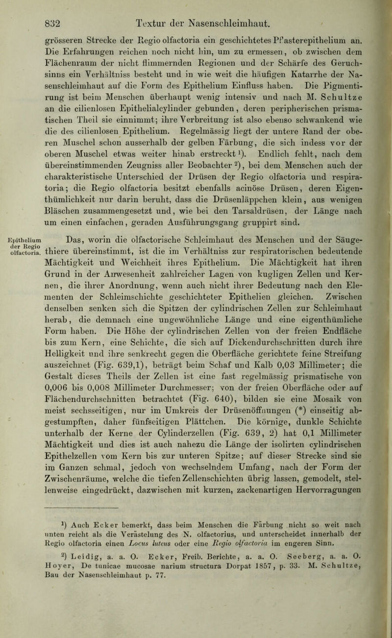 Epithelium der Regio olfactoria. grösseren Strecke der Regio olfactoria ein geschichtetes Pf asterepithelium an. Die Erfahrungen reichen noch nicht hin, um zu ermessen, oh zwischen dem Flächenraum der nicht flimmernden Regionen und der Schärfe des Geruch- sinns ein Verhältnis besteht und in wie weit die häufigen Katarrhe der Na- senschleimhaut auf die Form des Epithelium Einfluss haben. Die Pigmenti- rung ist beim Menschen überhaupt wenig intensiv und nach M. Schultze an die cilienlosen Epithelialcylinder gebunden, deren peripherischen prisma- tischen Theil sie einnimmt; ihre Verbreitung ist also ebenso schwankend wie die des cilienlosen Epithelium. Regelmässig liegt der untere Rand der obe- ren Muschel schon ausserhalb der gelben Färbung, die sich indess vor der oberen Muschel etwas weiter hinab erstreckt1). Endlich fehlt, nach dem übereinstimmenden Zeugniss aller Beobachter 2), bei dem Menschen auch der charakteristische Unterschied der Drüsen der Regio olfactoria und respira- toria; die Regio olfactoria besitzt ebenfalls acinöse Drüsen, deren Eigen- thümlichkeit nur darin beruht, dass die Drüsenläppchen klein, aus wenigen Bläschen zusammengesetzt und, wie bei den Tarsaldrüsen, der Länge nach um einen einfachen, geraden Ausführungsgang gruppirt sind. Das, worin die olfactorische Schleimhaut des Menschen und der Säuge- thiere übereinstimmt, ist die im Verhältniss zur respiratorischen bedeutende Mächtigkeit und Weichheit ihres Epithelium. Die Mächtigkeit hat ihren Grund in der Anwesenheit zahlreicher Lagen von kugligen Zellen und Ker- nen, die ihrer Anordnung, wenn auch nicht ihrer Bedeutung nach den Ele- menten der Schleimschichte geschichteter Epithelien gleichen. Zwischen denselben senken sich die Spitzen der cylindrischen Zellen zur Schleimhaut herab, die demnach eine ungewöhnliche Länge und eine eigenthümliche Form haben. Die Höhe der cylindrischen Zellen von der freien Endfläche bis zum Kern, eine Schichte, die sich auf Dickendurchschritten durch ihre Helligkeit und ihre senkrecht gegen die Oberfläche gerichtete feine Streifung auszeichnet (Fig. 639,1), beträgt beim Schaf und Kalb 0,03 Millimeter; die Gestalt dieses Theils der Zellen ist eine fast regelmässig prismatische von 0,006 bis 0,008 Millimeter Durchmesser; von der freien Oberfläche oder auf Flächendurchschnitten betrachtet (Fig. 640), bilden sie eine Mosaik von meist sechsseitigen, nur im Umkreis der Drüsenöffnungen (*) einseitig ab- gestumpften, daher fünfseitigen Plättchen. Die körnige, dunkle Schichte unterhalb der Kerne der Cylinderzellen (Fig. 639, 2) hat 0,1 Millimeter Mächtigkeit und dies ist auch nahezu die Länge der isolirten cylindrischen Epithelzellen vom Kern bis zur unteren Spitze; auf dieser Strecke sind sie im Ganzen schmal, jedoch von wechselndem Umfang, nach der Form der Zwischenräume, welche die tiefen Zellenschichten übrig lassen, gemodelt, stel- lenweise eingedrückt, dazwischen mit kurzen, zackenartigen Hervorragungen 0 Auch Ecker bemerkt, dass beim Menschen die Färbung nicht so weit nach unten reicht als die Verästelung des N. olfactorius, und unterscheidet innerhalb der Regio olfactoria einen Locus luteus oder eine Regio olfactoria im engeren Sinn. 2) Leidig, a. a. O. Ecker, Freib. Berichte, a. a. O. Seeberg, a. a. O. Hoyer, De tunicae mucosae narium structura Dorpat 1857, p. 33. M. Schultze, Bau der Nasenschleimhaut p. 77.