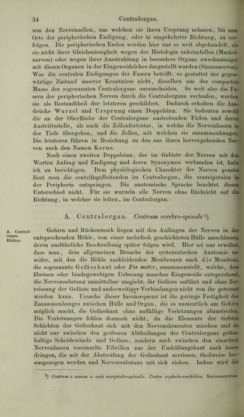 A. Central- organ. Hüllen. 34 Centralorgan. von den Nervenzellen, aus welchen sie ihren Ursprung nehmen, bis zum Orte der peripherischen Endigung, oder in umgekehrter Richtung, zu ver- folgen. Die peripherischen Enden werden hier nur so weit abgehandelt, als sie nicht ihrer Gleichmässigkeit wegen der Histologie anheimfallen (Muskel- nerven) oder wegen ihrer Ausstrahlung in besondere Organe zweckmässiger mit diesen Organen in der Eingeweidelehre dargestellt wurden (Sinnesnerven). Was die centralen Endigungen der Fasern betrifft, so gestattet der gegen- wärtige Zustand unserer Kenntnisse nicht, dieselben aus der compacten Masse der sogenannten Centralorgane auszuscheiden. So weit also die Fa- sern der peripherischen Nerven durch die Centralorgane verlaufen, werden sie als Bestandtheil der letzteren geschildert. Dadurch erhalten die Aus- drücke Wurzel und Ursprung einen Doppelsinn. Sie bedeuten sowohl die an der Oberfläche der Centralorgane austretenden Fäden und deren Austrittsstelle, als auch die Zellenfortsätze, in welche die Nervenfasern in der Tiefe übergehen, und die Zellen, mit welchen sie Zusammenhängen. Die letzteren führen in Beziehung zu den aus ihnen hervorgehenden Ner- ven auch den Namen Kerne. Noch einen zweiten Doppelsinn, der im Gebiete der Nerven mit den Worten Anfang und Endigung und deren Synonymen verbunden ist, habe ich zu berichtigen. Dem physiologischen Charakter der Nerven gemäss lässt man die centrifugalleitenden im Centralorgan, die centripetalen in der Peripherie entspringen. Die anatomische Sprache beachtet diesen Unterschied nicht. Für sie wurzeln alle Nerven ohne Rücksicht auf die Richtung, in welcher sie leiten, im Centralorgan. A. Centralorgan. Centrum cerebro-spinale*). Gehirn und Rückenmark liegen mit den Anfängen der Nerven in der entsprechenden Höhle, von einer mehrfach geschichteten Hülle umschlossen, deren ausführliche Beschreibung später folgen wird. Hier sei nur erwähnt, dass man, dem allgemeinen Brauche der systematischen Anatomie zu- wider, mit den die Höhle auskleidenden Membranen auch die Membran, die sogenannte Gefässhaut oder Pia matcr, zusammenstellt, welche, dem fibrösen oder bindegewebigen Ueberzug mancher Eingeweide entsprechend, die Nervensubstanz unmittelbar umgiebt, ihr Gefässe zuführt und ohne Zer- reissung der Gefässe und anderweitiger Verbindungen nicht von ihr getrennt werden kann. Ursache dieser Inconsequenz ist die geringe Festigkeit des Zusammenhanges zwischen Flülle und Organ, die es namentlich am Gehirn möglich macht, die Gefässhaut ohne auffällige Verletzungen abzustreifen. Die Verletzungen fehlen dennoch nicht, da die Elemente der tiefsten Schichten der Gefässhaut sich mit den Nervenelementen mischen und da nicht nur zwischen den gröberen Abtheilungen des Centralorgans gefäss- haltige Scheidewände und Gefässe, sondern auch zwischen den einzelnen Nervenfasern vereinzelte Fibrillen aus der Umhüllungshaut nach innen dringen, die mit der Abstreifung der Gefässhaut zerrissen, theilweise her- ausgezogen werden und Nervensubstanz mit sich ziehen. Indess wird die *) Centrum s. massa s. axis encephalo-splnalis. Centre cephalo-rachidien. Nervencentrum.