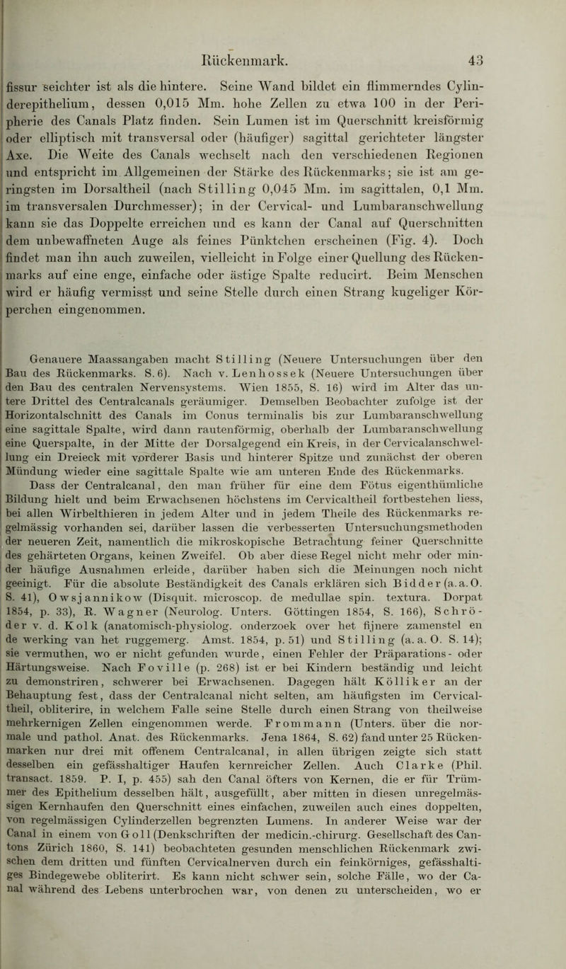 I fissur seichter ist als die hintere. Seine Wand bildet ein flimmerndes Cylin- derepithelium, dessen 0,015 Mm. hohe Zellen zu etwa 100 in der Peri- pherie des Canals Platz finden. Sein Lumen ist im Querschnitt kreisförmig ; oder elliptisch mit transversal oder (häufiger) sagittal gerichteter längster J Axe. Die Weite des Canals wechselt nach den verschiedenen Regionen und entspricht im Allgemeinen der Stärke des Rückenmarks; sie ist am ge- j ringsten im Dorsaltheil (nach Stilling 0,045 Mm. im sagittalen, 0,1 Mm. im transversalen Durchmesser); in der Cervical- und Lumbaranschwellung kann sie das Doppelte erreichen und es kann der Canal auf Querschnitten I dem unbewaffneten Auge als feines Pünktchen erscheinen (Fig. 4). Doch findet man ihn auch zuweilen, vielleicht in Folge einer Quellung des Rücken- marks auf eine enge, einfache oder ästige Spalte reducirt. Beim Menschen wird er häufig vermisst und seine Stelle durch einen Strang kugeliger Kör- I perchen eingenommen. Genauere Maassangaben macht Stilling (Neuere Untersuchungen über den Bau des Rückenmarks. S. 6). Nach v. Lenhossek (Neuere Untersuchungen über den Bau des centralen Nervensystems. Wien 1855, S. 16) wird im Alter das un- tere Drittel des Centralcanals geräumiger. Demselben Beobachter zufolge ist der Horizontalschnitt des Canals im Conus terminalis bis zur Lumbaranschwellung | eine sagittale Spalte, wird dann rautenförmig, oberhalb der Lumbaranschwellung | eine Querspalte, in der Mitte der Dorsalgegend ein Kreis, in der Cervicalanschwel- [ lung ein Dreieck mit vorderer Basis und hinterer Spitze und zunächst der oberen Mündung wieder eine sagittale Spalte wie am unteren Ende des Rückenmarks. Dass der Centralcanal, den man früher für eine dem Fötus eigenthümliclie I Bildung hielt und beim Erwachsenen höchstens im Cervicaltheil fortbestehen liess, I bei allen Wirbelthieren in jedem Alter und in jedem Theile des Rückenmarks re- j gelmässig vorhanden sei, darüber lassen die verbesserten Untersuchungsmethoden der neueren Zeit, namentlich die mikroskopische Betrachtung feiner Querschnitte des gehärteten Organs, keinen Zweifel. Ob aber diese Regel nicht mehr oder min- 1 der häufige Ausnahmen erleide, darüber haben sich die Meinungen noch nicht ' geeinigt. Für die absolute Beständigkeit des Canals erklären sich Bidder (a.a.O. S. 41), Owsjannikow (Disquit. microscop. de medullae spin. textura. Dorpat 1854, p. 33), R. Wagner (Neurolog. Unters. Göttingen 1854, S. 166), Schrö- der v. d. Kolk (anatomisch-physiolog. onderzoek over het fijnere zamenstel en de werking van het ruggemerg. Amst. 1854, p. 51) und Stilling (a.a.O. S. 14); sie vermuthen, wo er nicht gefunden wurde, einen Fehler der Präparations- oder Härtungsweise. Nach Foville (p. 268) ist er bei Kindern beständig und leicht zu demonstriren, schwerer bei Erwachsenen. Dagegen hält Kölliker an der Behauptung fest, dass der Centralcanal nicht selten, am häufigsten im Cervical- theil, obliterire, in welchem Falle seine Stelle durch einen Strang von theilweise mehrkernigen Zellen eingenommen werde. Frommann (Unters, über die nor- male und pathol. Anat. des Rückenmarks. Jena 1864, S. 62) fand unter 25 Rücken- marken nur drei mit offenem Centralcanal, in allen übrigen zeigte sich statt desselben ein gefässhaltiger Haufen kernreicher Zellen. Auch Clarke (Phil, transact. 1859. P. I, p. 455) sah den Canal öfters von Kernen, die er für Trüm- mer des Epithelium desselben hält, ausgefüllt, aber mitten in diesen unregelmäs- sigen Kernhaufen den Querschnitt eines einfachen, zuweilen auch eines doppelten, von regelmässigen Cylinderzellen begrenzten Lumens. In anderer Weise war der Canal in einem von G o 11 (Denkschriften der medicin.-chirurg. Gesellschaft des Can- tons Zürich 1860, S. 141) beobachteten gesunden menschlichen Rückenmark zwi- schen dem dritten und fünften Cervicalnerven durch ein feinkörniges, gefässhalti- ges Bindegewebe obliterirt. Es kann nicht schwer sein, solche Fälle, wo der Ca- nal während des Lebens unterbrochen war, von denen zu unterscheiden, wo er