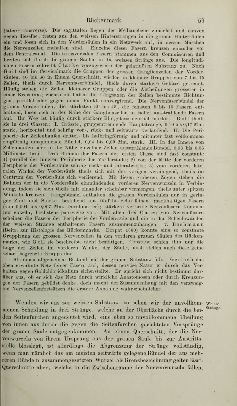 (latero-transverse). Die sagittalen liegen der Medianebene zunächst und convex gegen dieselbe, treten ans den weissen Hintersträngen in die grauen Hintersäulen ein und lösen sich in den Vordersäulen in ein Netzwerk auf, in dessen Maschen !i die Nervenzellen enthalten sind. Einzelne dieser Fasern kreuzen einander vor I dem Centralcanal. Die transversalen Fasern stammen aus den Commissuren und ! breiten sich durch die grauen Säulen in die weissen Stränge aus. Die longitudi- nalen Fasern schreibt Clarke vorzugsweise der gelatinösen Substanz zu. Nach Groll sind im Cervicalmark die Gruppen der grossen Ganglienzellen der Vorder- ! säulen, 40 bis 60 in Einem Querschnitt, wieder in kleinere Gruppen von 7 bis 15 Zellen, theils durch Nervenfaserbündel, theils durch stärkere Gefässe getrennt. Häufig stehen die Zellen kleinerer Gruppen oder die Abtheilungen grösserer in I einer Kreislinie; ebenso oft haben die Längsaxen der Zellen bestimmte Richtun- gen, parallel oder gegen einen Punkt convergirend. Die Nervenfaserbündel der grauen Vordersäulen, die stärksten 30 bis 45, die feinsten 5 bis 10 Fasern ent- { haltend, lösen sich in der Nähe der Ganglienzellen in isolirt ausstrahlende Fasern auf. Ihr Weg ist häufig durch stärkere Blutgefässe deutlich markirt. Goll theilt ; sie in drei Classen : I. Grösste, gruppentrennende Hauptstränge, 0,10 bis 0,17 Mm. jj stark, horizontal und schräg vor-, rück- und seitwärts verlaufend. II. Die Peri- J pherie der Zellenhaufen drittel- bis halbringförmig und mitunter fast vollkommen ringförmig umspinnende Bündel, 0,04 bis 0,09 Mm. stark. III. In das Innere von Zellenhaufen oder in die Nähe einzelner Zellen ausstrahlende Bündel, 0,03 bis 0,06 Millimeter breit. Drei Bahnen der Fasern der ersten Classe sind fast constant: l) parallel der inneren Peripherie der Vordersäule; 2) von der Mitte der vorderen Peripherie der Vordersäule schräg rück- und lateralwärts; 3) vom vorderen late- ralen Winkel der Vordersäule theils sich mit der vorigen vereinigend, theils im Centrum der Vordersäule sich verlierend. Mit diesen gröberen Zügen stehen die Bahnen der in die Vordersäule einmündenden vorderen Nerven wurzeln in Verbin- dung, indem sie sich theils mit einander scheinbar vermengen, theils unter spitzen Winkeln kreuzen. Längsbündel enthalten die grauen Vordersäulen nur in gerin- s ger Zahl und Stärke, bestehend aus fünf bis zehn feinen, markhaltigen Fasern (von 0,004 bis 0,007 Mm. Durchmesser); stärkere verticale Nervenfasern kommen nur einzeln, höchstens paarweise vor. Mit allen drei Classen von Nervenfasern scheinen die Fasern der Peripherie der Vordersäule und die in den Scheidewänden | der weissen Stränge enthaltenen Fasern zusammenzuhängen, v. Bochmann ; (Beitr. zur Histologie des Rückenmarks. Dorpat 1860) konnte eine so constante Gruppirung der grossen Nervenzellen in den vorderen grauen Säulen des Rücken- marks, wie Goll sie beschreibt, nicht bestätigen. Constant schien ihm nur die Lage der Zellen im vorderen Winkel der Säule, doch stellen auch diese keine scharf begrenzte Gruppe dar. Als einen allgemeinen Bestandtheil der grauen Substanz führt Ger lach das oben erwähnte Netz feiner Fasern auf, dessen nervöse Natur er durch das Ver- halten gegen Goldchloridkalium sicherstellte. Er spricht sich nicht bestimmt dar- über aus, ob er sich das Netz durch wirkliche Anastomosen oder durch Kreuzun- gen der Fasern gebildet denke, doch macht der Zusammenhang mit deil verzweig- ten Nervenzellenfortsätzen die erstere Annahme wahrscheinlicher. Wenden wir uns zur weissen Substanz, so sehen wir der unvollkom- menen Scheidung in drei Stränge, welche an der Oberfläche durch die bei- den Seitenfurchen angedeutet wird, eine eben so unvollkommene Theilung von innen aus durch die gegen die Seitenfurchen gerichteten Vorsprünge der grauen Säule entgegenkommen. An einem Querschnitt, der die Ner- venwurzeln von ihrem Ursprung aus der grauen Säule bis zur Austritts- stelle blosslegt, ist allerdings die Abgrenzung der Stränge vollständig, wenn man nämlich das am meisten seitwärts gelegene Bündel der aus meh- jreren Bündeln zusammengesetzten Wurzel als Grenzbezeichnung gelten lässt, iQuerschnitte aber, welche in die Zwischenräume der Nervenwurzeln fallen, Weisso Stränge.