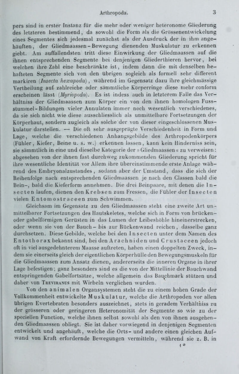 pers sind in erster Instanz für die mehr oder weniger heteronome Gliederung des letzteren bestimmend, da sowohl die Form als die Grössenentwickelung eines Segmentes sich jedesmal zunächst als der Ausdruck der in ihm ange- häuften, der Gliedmaassen - Bewegung dienenden Muskulatur zu erkennen giebt. Am auffallendsten tritt diese Einwirkung der Gliedmaassen auf die ihnen entsprechenden Segmente bei denjenigen Gliederthieren hervor, bei welchen ihre Zahl eine beschränkte ist, indem dann die mit denselben be- hafteten Segmente sich von den übrigen sogleich als formell sehr ditferent markiren ilnsecta hexapoda) , während im Gegensatz dazu ihre gleichmässige Yertheilung auf zahlreiche oder sämmtliche Körperringe diese mehr conform erscheinen lässt Myn'opoda). Es ist indess auch in letzlerem Falle das Ver- hältniss der Gliedmaassen zum Körper ein von den ihnen homologen Fuss- stumrael-Bildungen vieler Annulaten immer noch wesentlich verschiedenes, da sie sich nicht wie diese ausschliesslich als unmittelbare Fortsetzungen der Körperhaut, sondern zugleich als solche der von dieser eingeschlossenen Mus- kulatur darstellen. — Die oft sehr ausgeprägte Verschiedenheit in Form und Lage, welche die verschiedenen Anhangsgebilde des Arthropodenkörpers (Fühler, Kiefer. Beine u. s. w.) erkennen lassen, kann kein Hinderniss sein, sie sämmtlich in eine und dieselbe Kategorie der > Gliedmaassen a zu verweisen : abgesehen von der ihnen fast durchweg zukommenden Gliederung spricht für ihre wesentliche Identität voi-Allem ihre übereinstimmende erste Anlage wäh- rend des Embryonalzustandes, sodann aber der Umstand, dass die sich der Reihenfolge nach entsprechenden Gliedmaassen je nach den Classen bald die Bein-, bald die Kieferform annehmen. Die drei Beinpaare, mit denen die In- sec ten laufen, dienen den Krebsen zum Fressen, die Fühler der Ins e c t e n vielen Entern ostraceen zum Schwimmen. Gleichsam im Gegensatz zu den Gliedmaassen steht eine zweite Art un- mittelbarer Fortsetzungen des Hautskeletes, welche sich in Form von brücken- oder gabelförmigen Gerüsten in das Lumen der Leibeshöhle hineinerstrecken, oder wenn sie von der Bauch- bis zur Rückenwand reichen, dasselbe ganz durchsetzen. Diese Gebilde, welche bei den Insecten unter dem Xamen des Entothorax bekannt sind, bei den A r a c h n i de n und Crustaceen jedoch oft in viel ausgedehnterem Maasse auftreten, haben einen doppelten Zweck^ in- dem sie einerseits gleich der eigentlichen Körperhülle den Bewegungsmuskeln für die Gliedmaassen zum Ansatz dienen, andererseits die inneren Organe in ihrer Lage befestigen; ganz besonders sind es die von der Mittellinie der Bauchwand entspringenden Gabelfortsätze, welche allgemein das Bauchmark stützen und daher von Treviraxcs mit Wirbeln verglichen wurden. Von den animalen Orgausyslemen steht die zu einem hohen Grade der Vollkommenheit entwickelte Muskulatur, welche die Arthropoden vor allen übrigen Evertebraten besonders auszeichnet, stets in geradem Yerhälthiss zu der grösseren oder geringeren Heteronomität der Segmente so wie zu der speciellen Function, welche ihnen selbst sowohl als den von ihnen ausgehen- den Gliedmaassen obliegt. Sie ist daher vorwiegend in denjenigen Segmenten entwickelt und angehäuft, welche die Orts - und andere einen gleichen Auf- wand von Kraft erfordernde Bewegungen vermitteln, während sie z. B. in