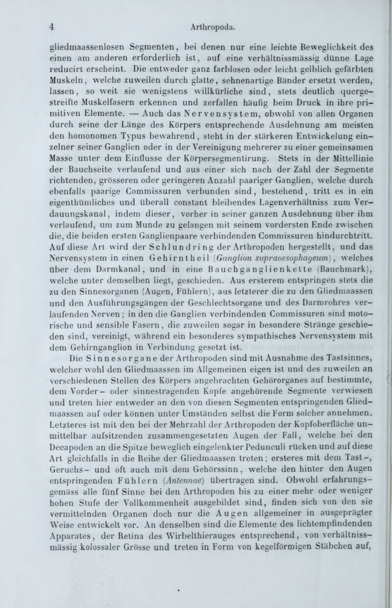 gliedmaassenlosen Segmenten, bei denen nur eine leichte Beweglichkeit des einen am anderen erforderlich ist, auf eine verhältnissmässig dünne Lage reducirt erscheint. Die entweder ganz farblosen oder leicht gelblich gefärbten Muskeln, welche zuweilen durch glatte, sehnenartige Bänder ersetzt werden, lassen, so weit sie w enigslens willkürliche sind, stets deutlich querge- streifte Muskelfasern erkennen und zerfallen häufig beim Druck in ihre pri- mitiven Elemente. — Auch das Nervensystem, obwohl von allen Organen durch seine der Länge des Körpers entsprechende Ausdehnung am meisten den homonomen Typus bewahrend, steht in der stärkeren Entwickelung ein- zelner seiner Ganglien oder in der Vereinigung mehrerer zu einer gemeinsamen Masse unter dem Einflüsse der Körpersegmentirung. Stets in der Mittellinie der Bauchseite verlaufend und aus einer sich nach der Zahl der Segmente richtenden, grösseren oder geringeren Anzahl paariger Ganglien, welche durch ebenfalls paarige Commissuren verbunden sind, bestehend, tritt es in ein eigenthümliches und überall constant bleibendes Lagenverhältniss zum Ver- dauungskanal, indem dieser, vorher in seiner ganzen Ausdehnung über ihm verlaufend, um zum Munde zu gelangen mit seinem vordersten Ende zwischen die, die beiden ersten Ganglienpaare verbindenden Commissuren hindurchtritt. Auf diese An wird der Sohlun d ri ng der Arthropoden hergestellt, und das Nervensystem in einen Gehirntheil [Ganglion supraoesophageum^ welches über dem Darmkanal, und in eine Bauchganglienkette (Bauchmark), welche unter demselben liegt, geschieden. Aus ersterem entspringen stets die zu den Sinnesorganen (Augen, Fühlern), aus letzterer die zu den Gliedmaassen und den Ausführungsgängen der Geschlechtsorgane und des Darmrohres ver- laufenden Nerven; in den die Ganglien verbindenden Commissuren sind moto- rische und sensible Fasern, die zuweilen sogar in besondere Stränge geschie- den sind, vereinigt, während ein besonderes sympathisches Nervensystem mit dem Gehirnganglion in Verbindung gesetzt ist. Die Sinnesorgane der Arthropoden sind mit Ausnahme des Tastsinnes, welcher wohl den Gliedmaassen im Allgemeinen eigen ist und des zuweilen an verschiedenen Stellen des Körpers angebrachten Gehörorganes auf bestimmte, dem Vorder- oder sinnestragenden Kopfe angehörende Segmente verwiesen und treten hier entweder an den von diesen Segmenten entspringenden Glied- maassen auf oder können unter Umständen selbst die Form solcher annehmen. Letzteres ist mit den bei der Mehrzahl der Arthropoden der Kopfoberflache un- mittelbar aufsitzenden zusammengesetzten Augen der Fall, welche bei den Decapoden an die Spitze beweglich eingelenkter Pedunculi rücken und auf diese Art gleichfalls in die Beihe der Gliedmaassen treten: ersteres mit dem Tast Geruchs- und oft auch mit dem Gehörssinn, welche den hinter den Augen entspringenden Fühlern {Ä7ite?mae) übertragen sind. Obwohl erfahrungs- gemäss alle fünf Sinne bei den Arthropoden bis zu einer mehr oder weniger hohen Stufe der Vollkommenheit ausgebildet sind, finden sich von den sie vermittelnden Organen doch nur die Augen allgemeiner in ausgeprägter Weise entwickelt vor. An denselben sind die Elemente des lichtempfindenden Apparates, der Betina des Wirbelthierauges entsprechend, von verhältniss- mässig kolossaler Grösse und treten in Form von kegelförmigen Stäbchen auf.