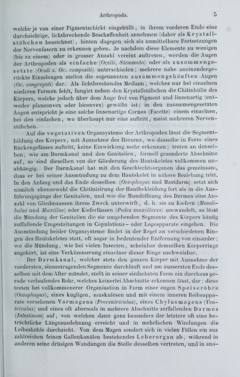 welche je von einer Pigmentschicht eingehüllt, in ihrem vorderen Ende eine durchsichlise, lichtbrechende Beschaffenheit annehmen fdaher als Krystall- stäbchen bezeichnet , hinten dagegen sich als unmittelbare Fortsetzungen der Nervenfasern zu erkennen geben. Je nachdem diese Elemente zu wenigen (bis zu einem) oder in grosser Anzahl vereint auftreten, werden die Augen der Arthropoden als einfache [Ocelli, Slemmata) oder als zusammenge- setzte Oculi s. Oc. compositi) unterschieden: mehrere nahe aneinanderge- rückte Einzelaugen stellen die sogenannten zusammengehäuften Augen (Oc. congregati] dar. Als lichtbrechendes Medium , welches nur bei einzelnen niederen Formen fehlt, fungirt neben den Krystallstäbchen die Chitinhülle des Körpers, welche jedoch über dem Auge frei von Pigment und linsenartig (ent- weder planconvex oder biconvex) gewölbt ist; in den zusammengesetzten Au2en entspricht je eine solche linsenartige Cornea (Facette) einem einzelnen, bei den einfachen , wo überhaupt nur eine auftritt, meist mehreren Nerven- stäbchen. Auf die vegetativen Organsysteme der Arthropoden lässt die Segment- bildung des Körpers, mit Ausnahme des Herzens, wo dasselbe in Form eines Rückengefässes auftritt, keine Einwirkung mehr erkennen ; treten an densel- ben. wie am Darmkanal und den Genitalien, formell gesonderte Abschnitte auf, so sind dieselben von der Gliederung des Hautskeletes vollkommen un- abhängig. Der Darmkanal hat mit den Geschlechtsorganen das gemeinsam, dass er bei seiner Ausmündung zu dem Hautskelet in nähere Beziehung tritt. In den Anfang und das Ende desselben [Oesophagus und Mastdarm) setzt sich nämlich ebensowohl die Chitinisirung der Hautbekleidung fort als in die Aus- führungsgänge der Genitalien, und wie die Mundöünung des Darmes eine An- zahl von Gliedmaassen ihrem Zweck unterwirft, d. h. sie zu Kiefern [Mandi- hulae und Maxillae) oder Kieferfüssen (Pedes maxillares) umwandelt, so lässt die Mündung der Genitalien die sie umgebenden Segmente des Körpers häufig auffallende Umgestaltungen in Copulations- oder Legeapparate eingehen. Die Ausmündung beider Organsysteme findet in der Regel an verschiedenen Rin- gen des Hautskeletes statt, oft sogar in bedeutender Entfernung von einander ; wo die Mündung, wie bei vielen Insecten, scheinbar demselben Körperringe angehört, ist eine Verkümmerung einzelner dieser Ringe nachweisbar. Der Darmkanal, welcher stets den ganzen Körper mit Ausnahme der vordersten, sinnestragenden Segmente durchläuft und am äussersten Ende des- selben mit dem After mündet, stellt in seiner einfachsten Form ein durchaus ge- rade verlaufendes Rohr, welches keinerlei Abschnitte erkennen lässt, dar: diese treten bei vollkommenerer Organisation in Form einer engen Speiseröhre [Oesophagus)j eines kugligen, muskulösen und mit einem inneren Reibeappa- rate versehenen Vormagens [Proventriculus)^ eines Chylusmagens [Ven- triculus] und eines oft abermals in mehrere Abschnitte zerfallenden Darmes [Intestinum] auf, von welchen dann ganz besonders der letztere oft eine be- trächtliche Längsausdehnung erreicht und in mehrfachen Windungen die Leibeshöhle durchzieht. Von dem Magen sondert sich in vielen Fällen ein aus zahlreichen feinen Gallenkanälen bestehendes Leberorgan ab, während in anderen seine drüsigen Wandungen die Stelle desselben vertreten, und in ana-