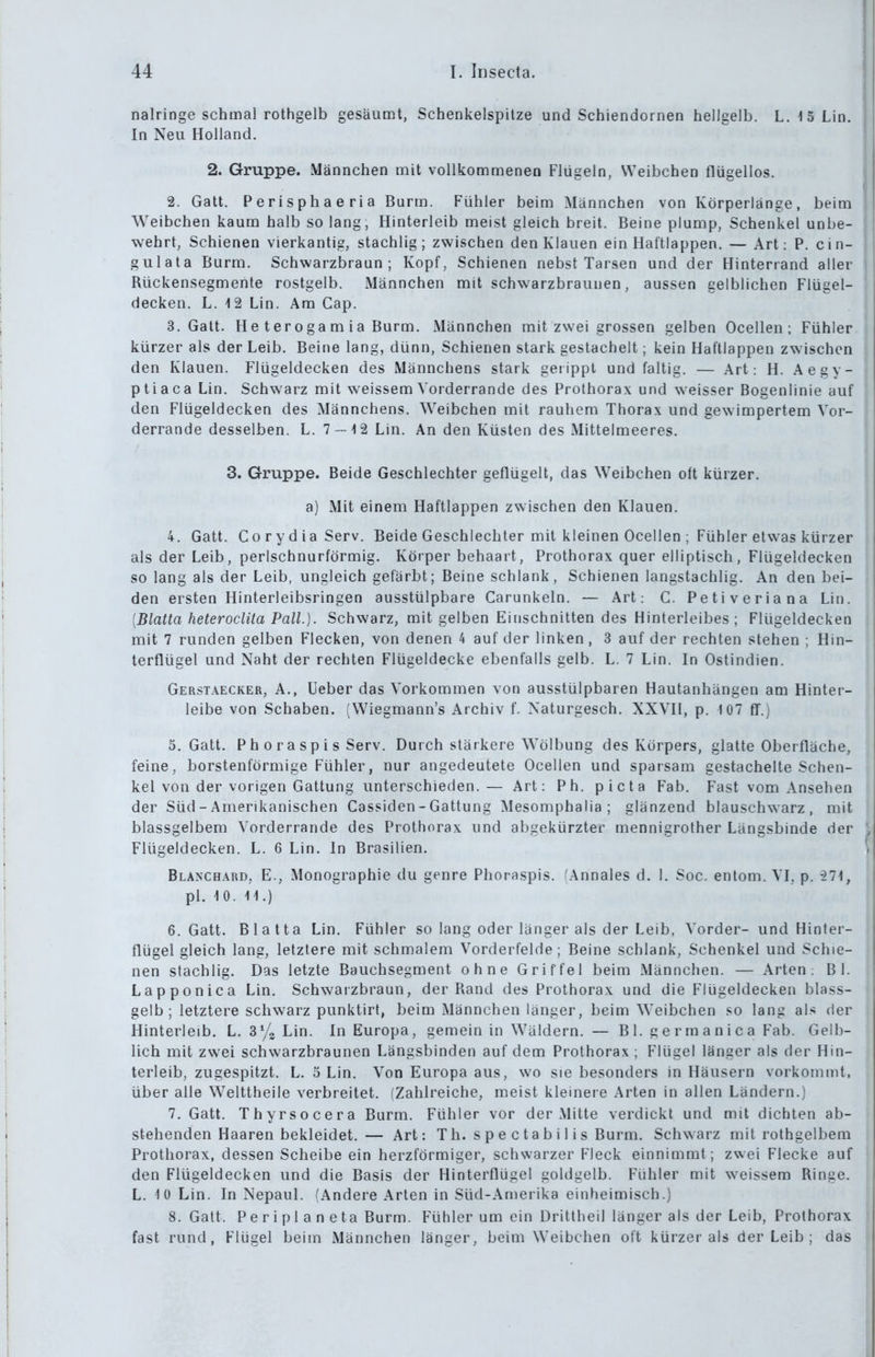 nalringe schmal rothgelb gesäumt, Schenkelspilze und Schiendornen hellgelb. L. 13 Lin. In Neu Holland. 2. Gruppe. Männchen mit vollkommenen Flügeln, Weibchen flügellos. 2. Gatt. Perisphaeria Barm. Fühler beim Männchen von Körperlänge, beim Weibchen kaum halb so lang, Hinterleib meist gleich breit. Beine plump, Schenkel unbe- wehrt, Schienen vierkantig, stachlig; zwischen den Klauen ein Haftlappen. — Art: P. cin- gulata Burm, Schwarzbraun; Kopf, Schienen nebst Tarsen und der Hinterrand aller Rückensegmente rostgelb. Männchen mit schwarzbraunen, aussen gelblichen Flügel- decken. L. 12 Lin. Am Cap. 3. Gatt. He terogam ia Burm. Männchen mit zwei grossen gelben Ocellen ; Fühler kürzer als der Leib. Beine lang, dünn, Schienen stark gestachelt; kein Haftlappen zwischen den Klauen. Flügeldecken des Männchens stark geiippl und faltig. — Art: H. Aegy- ptiaca Lin. Schwarz mit w'eissem Vorderrande des Prolhorax und w^eisser Bogenlinie auf den Flügeldecken des Männchens. Weibchen mit rauhem Thorax und gewimpertem Vor- derrande desselben. L. 7 — 12 Lin. An den Küsten des Mittelmeeres. 3. Gruppe. Beide Geschlechter geflügelt, das Weibchen oft kürzer, a) Mit einem Haftlappen zwischen den Klauen. 4. Gatt. CorydiaServ. Beide Geschlechter mit kleinen Ocellen ; Fühler etwas kürzer als der Leib, perlschnurförmig. Körper behaart, Prothorax quer elliptisch, Flügeldecken so lang als der Leib, ungleich gefärbt; Beine schlank, Schienen langstachlig. An den bei- den ersten Hinterleibsringen ausstülpbare Carunkeln. — Art: C. Petiveriana Lin. [Blatta heteroclita Fall.]. Schwarz, mit gelben Einschnitten des Hinterleibes; Flügeldecken mit 7 runden gelben Flecken, von denen 4 auf der linken, 3 auf der rechten stehen ; Hin- terflügel und Naht der rechten Flügeldecke ebenfalls gelb. L. 7 Lin. In Ostindien. Gerstaecker, A., lieber das Vorkommen von ausstülpbaren Hautanhängen am Hinter- leibe von Schaben. (Wiegmann's Archiv f. Naturgesch. XXVH, p. 107 ff.j O.Gatt. Ph oraspi s Serv. Durch stärkere Wölbung des Körpers, glatte Obeifläche, feine, borstenförmige Fühler, nur angedeutete Ocellen und sparsam gestachelte Schen- kel von der vorigen Gattung unterschieden. — Art: Ph. picta Fab. Fast vom Ansehen der Süd-Amerikanischen Cassiden - Gattung Mesomphalia ; glänzend blauschwarz, mit blassgelbem Vorderrande des Prothorax und abgekürzter mennigrother Längsbinde der Flügeldecken. L. 6 Lin. In Brasilien. Blancbard, E., Monographie du genre Phoraspis. ^\nnales d. I. Soc. entom. VI, p. -271, pl. 10. 11.) 6. Gatt. Blatta Lin. Fühler so lang oder länger als der Leib, Vorder- und Hinter- flügel gleich lang, letzlere mit schmalem Vorderfelde ; Beine schlank, Schenkel und Schie- nen stachlig. Das letzte Bauchsegment ohne Griffel beim Männchen. — Arten: Bl. Lapponica Lin. Schwarzbraun, der Rand des Prothorax und die Flügeldecken blass- gelb; letztere schwarz punktirt, beim Männchen länger, beim Weibchen so lang als der Hinterleib. L. S^/z Lin. In Europa, gemein in Wäldern. — Bl. germanica Fab. Gelb- lich mit zwei schwarzbraunen Längsbinden auf dem Prothorax ; Flügel länger als der Hin- terleib, zugespitzt. L. 5 Lin. Von Europa aus, wo sie besonders in Häusern vorkommt, über alle Welttheile verbreitet. (Zahlreiche, meist kleinere Arten in allen Ländern.) 7. Gatt. Thyrsocera Burm. Fühler vor der Mitte verdickt und mit dichten ab- stehenden Haaren bekleidet.— Art: Th. s p e c ta b i 1 i s Burm. Schwarz mit rothgelbem Prothorax, dessen Scheibe ein herzförmiger, schwarzer Fleck einnimmt; zwei Flecke auf den Flügeldecken und die Basis der Hinterflügel goldgelb. Fühler mit weissem Ringe. L. 10 Lin. In Nepaul. (Andere Arien in Süd-Amerika einheimisch.) 8. Gatt. Periplaneta Burm. Fühler um ein Dritlheil länger als der Leib, Prothorax fast rund, Flügel beim Männchen länger, beim Weibchen oft kürzer als der Leib ; das