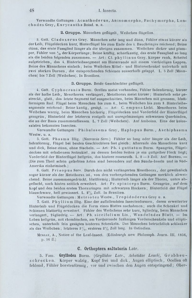 Verwandte Gattungen : Acanthoderus, Anisomorpha, Pacliymorpha, Lon- c h 0 d es Gray , Eurycantha Boisd. u.a. 2. Gruppe. Männchen geflügelt, Weibchen flügellos. 3. Gatt. C 1 a d 0 X e r u s Gray. Männchen sehr lang und dünn, Fühler etwas küi zer als der Leib, Flügeldecken kurz, Hinterflügel bis zum Ende des 4. Bauchringes reichend; Beine dünn, das erste Fussglied länger als die übrigen zusammen. Weibchen dicker und plum- per, Fühler von % der Körperlänge; Beine kräftig, scharfkantig, das erste Fussglied so lang als die beiden folgenden zusammen. — Art: C1. phy 11 i n us Gray. Körper rauh, Scheitel aufgetrieben, das 4. Hinterleibssegment am Hinlerrande mit einem vierkieligen Lappen. Beine des Männchens einfach ; beim Weibchen Mittel - und Hinlerschenkel unterhalb mit zwei starken Dornen , die entsprechenden Schienen ausserhalb gelappt. L. 5 Zoll (Mäim- chen) bis 7 Zoll (Weibchen). In Brasilien. 3. Gruppe. Beide Geschlechter geflügelt. 4. Gatt. C yph 0 c r a n i a Burm. Ocellen meist vorhanden, Fühler fadenförmig, kürzer als der halbe Leib, Mesothorax verlängert, Metalhorax meist kürzer; Hinterleib sehr ge- streckt, glatt, das letzte Segment tief ausgeschnitten, beim Männchen mit grossem, blatt- förmigem Raif. Flügel beim xMännchen bis zum 6., beim Weibchen bis zum 3 Hinterleibs- segmente reichend; Beine kantig, gesägt. — Art: C. empusa Licht. Mesothorax beim Weibchen warzig, beim Männchen höckerig ; Flügeldecken und Vorderfeld der Hinlerflügel grasgrün, Hinterfeld der letzteren rostgelb mit unregelmässigen schwarzen Querbinden, die an der Basis zusammenfliessen. L. 7 Zoll (Weibchen). Auf Amboina. Eins der kolos- salsten bekannten Insecten. Verwandte Gattungen : Phibalosoma Gray, Haplopus Burm., Aschiphasma Westw. u. a. 5. Gatt, Phasma Iiiig. [Necroscia Serv.) Fühler so lang oder länger als der Leib, fadenförmig, Flügel bei beiden Geschlechtern fast gleich ; Afterraife des Männchens kuiz und dick, Beine ciünn, ohne Stacheln. — Art: Ph. 4 guttatum Burm. Spangrün, Flügel- decken mit erhabenem Seitenkiel, zu dessen beiden Seiten je ein guttgelber Fleck liegt; Vorderfeld der Hinterflügel hellgrün, das hintere rosenroth. L. 2—3 Zoll. Auf Borneo. — (Die zum Theil schön gefärbten Arten sind besonders auf den Sunda-Inseln und in Süd- Amerika einheimisch.) 6. Gatt. P r i s o p u s Serv. Durch den nicht verlängerten Mesothorax, der gewöhnlich sogar kürzer als der Metalhorax ist. von den vorhergehenden Gattungen merklich abwei- chend. Beine zusammengedrückt, blattförmig ; Hinterleib länger als der Thorax, unten ab- geflacht, nach hinten seitlich erweitert. Art: P r. sp i n i c e p s Burm. Graugrün, auf dem Kopf und den beiden ersten Thoraxringen mit schwarzen Höckern; Hinterfeld der Flügel blauschwarz, hell gewässert. L. ä*/, Zoll. In Brasilien. Verwandte Gattungen: Metrio tes Westw., Tropidoderus Gray u. a. 7. Gatt. P h y 11 i u m lllig. Eine der auffallendsten Insectenformen, deren erweiterter Hinterleib und Flügeldecken die Form eines Blattes nachahmen ; auch die Schenkel und Schienen blattartig erweitert. Fühler des Weibchens sehr kurz, 9gliedrig, beim Männchen verlängert, 24gliedrig.— Art: P h. s i c c i f o 1 i u m Lin., Wandelndes Blatt. — Im Leben hellgrün, mit rhombischen, am Vorderrande 5zähnigen Vorderschenkeln und ellipti- schen, unterhalb fein gesägten hinteren Schenkeln. Das Männchen beträchtlich schlanker als das Weibchen; letzteres ersteres sy« Zoll lang. In Ostindien. MüRRAY, A., Notice of the Leaf-Insect. (Edinburgh new Philosoph. Journ. III, 1 856, p. 96 ff.) C. Orthoptera saltatoria Latr. 5. Farn. Gryllodea Burm. [Gryllidae Latr., Achetidae Lcach), Grabheu- schrecken. Körper walzig, Kopf frei und dick, Augen elliptisch, Ocellen oft fehlend, Fühler borstenförmig, vor und zwischen den Augen entspringend; Ober-