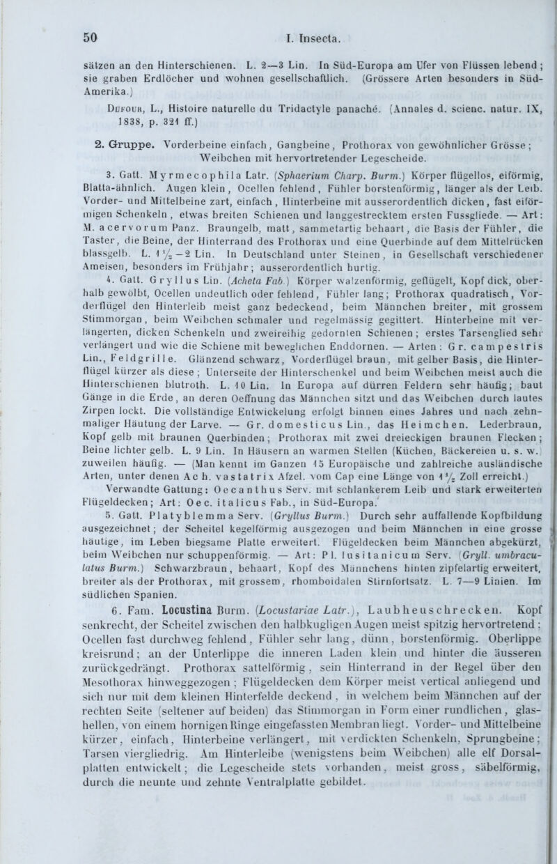 Sätzen an den Hinterschienen, L. 2—3 Lin. In Süd-Europa am Ufer von Flüssen lebend ; sie graben Erdlöcher und wohnen gesellschaftlich. (Grössere Arten besonders in Süd- Amerika.) DüFOUK, L., Histoire naturelle du Tridactyle panache. (Annales d. scienc. natur. IX, 1838, p. 321 ff.) 2. Gruppe. Vorderbeine einfach, Gangbeine, Prothorax von gewöhnlicher Grösse ; Weibchen mit hervortretender Legescheide. 3. Gatt. M y rm ec 0 p h i 1 a Latr. {Sphaerium Charp. Burm.) Körper flügello?, eiförmig, Blatta-ähnlich. Augen klein, Ocellen fehlend , Fühler borstenförmig, länger als der Leib. Vorder- und Miltelbeine zart, einfach , Hinterbeine mit ausserordentlich dicken, fast eiför- migen Schenkeln , etwas breiten Schienen und langgestrecktem ersten Fussgliede. — Art: M. acervorum Panz. Braungelb, matt, sammetartig behaart, die Basis der Fühler, die Taster, die Beine, der Hinterrand des Frothorax und eine Querbinde auf dem Miltelrücken blassgelh. L. i'/.—2Lin. in Deutschland unter Steinen, in Gesellschaft verschiedener Ameisen, besonders im Frühjahr; ausserordentlich huriig. 4. Galt. Gry 11 US Lin. {Acheta Fab.] Körper walzenförmig, geflügelt, Kopf dick, ober- halb gewölbt, Ocellen undeutlich oder fehlend, Fühler lang; Prothorax quadratisch, Vor- derflügel den Hinterleib meist ganz bedeckend, beim Männchen breiter, mit grossem Stimmorgan , beim Weibchen schmaler und regelmässig gegittert. Hinterbeine mit ver- längerten, dicken Schenkeln und zweireihig gedornten Schienen; erstes Tarsenglied sehr verlängert und wie die Schiene mit beweglichen Enddornen. — Arten: Gr. campeslris Lin., Feldgrill e. Glänzend schwarz, Vorderflügel braun , mit gelber Basis, die Hinler- flügel kürzer als diese ; Unterseite der Hinterschenkel und beim Weibchen meist auch die Hinterschienen blutroth. L. 10 Lin. In Europa auf dürren Feldern sehr häufig; baut Gänge in die Erde, an deren OefTnung das Männchen sitzt und das Weibchen durch lautes Zirpen lockt. Die vollständige Entwickelung erfolgt binnen eines Jahres und nach zehn- maliger Häutung der Larve. — Gr. domesticus Lin., das Heimchen. Lederbraun, Kopf gelb mit braunen Querbinden ; Prothorax mit zwei dreieckigen braunen Flecken ; Beine lichter gelb. L. 9 Lin. In Häusern an warmen Stellen (Küchen, Bäckereien u. s. w. zuweilen häufig. — (Man kennt im Ganzen 15 Europäische und zahlreiche ausländische Arten, unter denen Ach. vastatrix Afzel. vom Cap eine Länge von ^% Zoll erreicht.) Verwandte Gattung: Oecanthus Serv. mit schlankerem Leib und stark erweiterten Flügeldecken; Art: Oec. italicus Fab., in Süd-Europa. 5. Gatt. Platyblemma Serv. {Gryllus Burm.) Durch sehr auffallende Kopfbildung ausgezeichnet; der Scheitel kegelförmig ausgezogen und beim Männchen in eine grosse häutige, im Leben biegsame Platte erweitert. Flügeldecken beim Männchen abgekürzt, beim Weibchen nur schuppenförmig. — Art: PI. lusitanicum Serv. Gryll. umbracu- latus Burm.) Schwarzbraun, behaart, Kopf des Männchens hinten zipfelartig erweitert, breiter als der Prothorax, mit grossem, rhomboidalen Stirnforlsalz. L. 7—9 Linien. Im südlichen Spanien. 6. Farn. Locustind, Buvm. [Locustariae Latr. :, L aub h e us c hr eck en. Kopf senkrecht, der Scheitel zwischen den halbkugligen Augen meist spitzig hervortretend : Ocellen fast durchweg fehlend, Fühler sehr lang, dünn, borstenförmig. Oberlippe kreisrund; an der Unterlippe die inneren Laden klein und hinter die äusseren zurückgedrängt. Prothorax sattelförmig , sein Hinterrand in der Regel über den Mesothorax hinweggezogen ; Flügeldecken dem Körper meist vertical anliegend und sich nur mit dem kleinen Hinterfelde deckend , in welchem beim ^lännclien auf der rechten Seite (seltener auf beiden) das Stimmorgan in Form einer rundÜchen, glas- hellen, von einem hornigen Ringe eingefassten Membran liegt. Vorder- und Mittelbeine kürzer, einfach, Hinterbeine verlängert, mit verdickten Schenkeln, Sprungbeine; Tarsen viergliedrig. Am Hinterleibe (wenigstens beim Weibchen) alle elf Dorsal- platten entwickelt; die Legescheide stets vorbanden, meist gross, säbelförmig, durch die neunte und zelmte Ventralplatte gebildet.