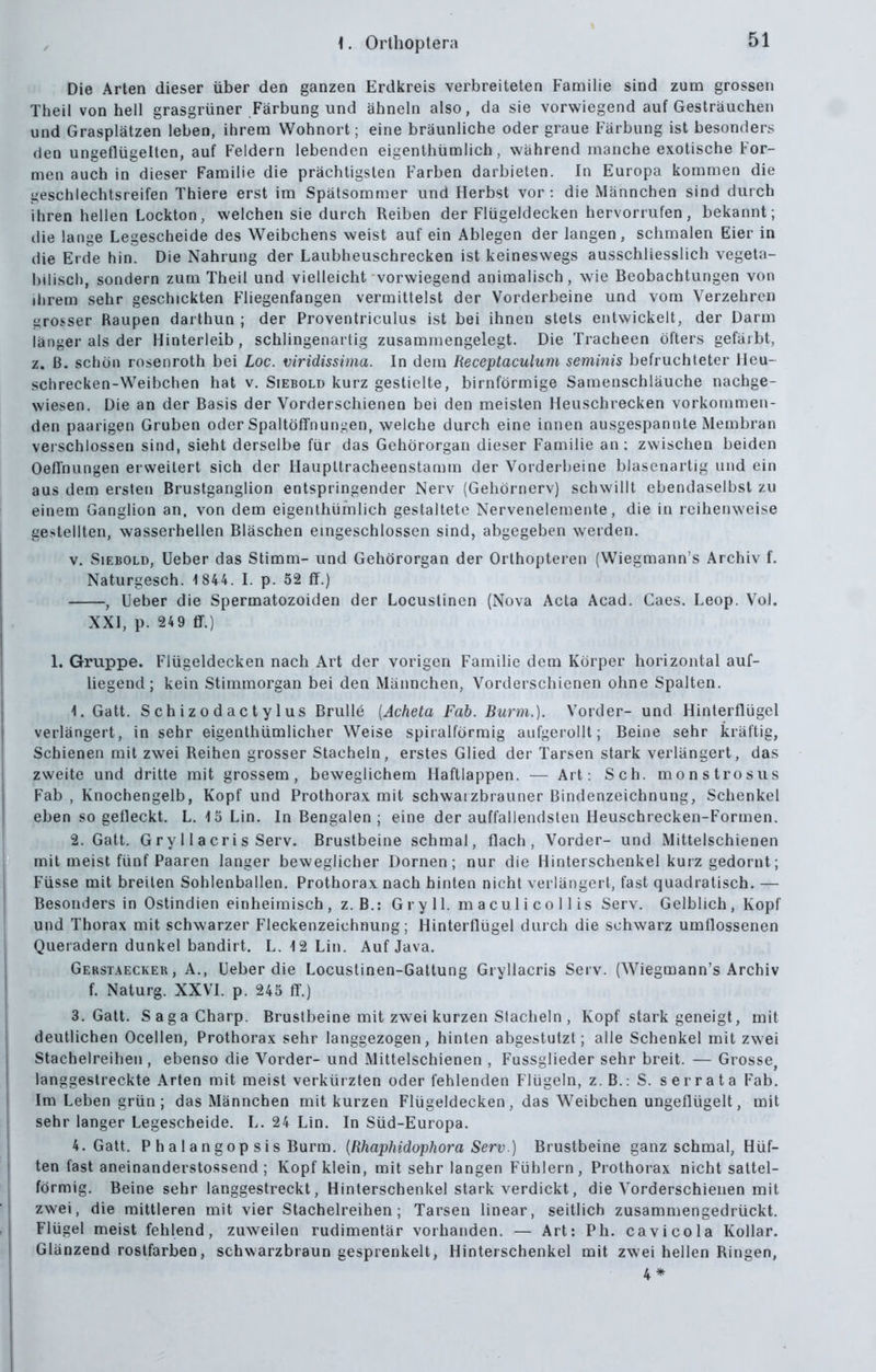 Die Arten dieser über den ganzen Erdkreis verbreiteten Familie sind zum grossen Theii von hell grasgrüner Färbung und ähneln also, da sie vorwiegend auf Gesträuchen und Grasplätzen leben, ihrem Wohnort; eine bräunliche oder graue Färbung ist besonders den ungeflügelten, auf Feldern lebenden eigenthümlich, während manche exotische For- men auch in dieser Familie die prächtigsten Farben darbieten. In Europa kommen die geschlechtsreifen Thiere erst im Spätsommer und Herbst vor: die Männchen sind durch ihren hellen Lockton, welchen sie durch Reiben der Flügeldecken hervorrufen, bekannt; die lange Legescheide des Weibchens weist auf ein Ablegen der langen, schmalen Eier in die Erde hin. Die Nahrung der Laubheuschrecken ist keineswegs ausschliesslich vegeta- bilisch, sondern zum Theil und vielleicht vorwiegend animalisch, wie Beobachtungen von ihrem sehr geschickten Fliegenfangen vermittelst der Vorderbeine und vom Verzehren groj.ser Raupen darthun ; der Proventriculus ist bei ihnen stets entwickelt, der Darm länger als der Hinterleib, schlingenartig zusammengelegt. Die Tracheen öfters gefärbt, z. B. schön rosenroth bei Loc. viridissima. In dem Receptaculum seminis befruchteter Heu- schrecken-Weibchen hat V. SiEBOLD kurz gestielte, birnförmige Samenschläuche nachge- wiesen. Die an der Basis der Vorderschienen bei den meisten Heuschrecken vorkommen- den paarigen Gruben oder SpaltöfTnun.nen, welche durch eine innen ausgespannte Membran verschlossen sind, sieht derselbe für das Gehörorgan dieser Familie an: zwischen beiden Oefl'nungen erweitert sich der Haupltracheenstamm der Vorderbeine blasenartig und ein aus dem ersten Brustganglion entspringender Nerv (Gehörnerv) schwillt ebendaselbst zu einem Ganglion an, von dem eigenthümlich gestaltete Nervenelemente, die in reihenweise gestellten, wasserhellen Bläschen emgeschlossen sind, abgegeben werden. V, Siebold, Ueber das Stimm- und Gehörorgan der Orthopteren (Wiedmann s Archiv f. Naturgesch. 1 844. I. p. 52 ff.) , Ueber die Spermatozoiden der Locustinen (Nova Acta Acad. Caes. Leop. Vol. XXI, p. 249 fif.) 1. Gruppe. Flügeldecken nach Art der vorigen Familie dem Körper horizontal auf- liegend; kein Stimmorgan bei den Männchen, Vorderschienen ohne Spalten. 1. Gatt. Schizodactylus Brülle {Acheta Fab. Burm.). Vorder- und Hinterflügel verlängert, in sehr eigenthümlicher Weise spiralförmig aufgerollt; Beine sehr kräftig, Schienen mit zwei Reihen grosser Stacheln, erstes Glied der Tarsen stark verlängert, das zweite und dritte mit grossem, beweglichem Haftlappen. — Art: Sch. monstrosus Fab , Knochengelb, Kopf und Prothorax mit schwarzbrauner Bindenzeichnung, Schenkel eben so gefleckt. L. 15 Lin. In Bengalen ; eine der auffallendsten Heuschrecken-Formen. 2. Gatt. G r y 11 a er i s Serv. Brustbeine schmal, flach, Vorder- und Mittelschienen mit meist fünf Paaren langer beweglicher Dornen; nur die Hinterschenkel kurz gedornt; Füsse mit breiten Sohlenballen. Prothorax nach hinten nicht verlängert, fast quadratisch. — Besonders in Ostindien einheimisch, z.B.: Gry 11. maculi Collis Serv. Gelblich, Kopf und Thorax mit schwarzer Fleckenzeichnung; Hinterflügel durch die schwarz umflossenen Queradern dunkel bandirt. L. 12 Lin. Auf Java. Gerstaecker, A., Ueber die Locustinen-Gattung Gryllacris Serv. (Wiegmann's Archiv f. Naturg. XXVI. p. 245 fT.) 3. Gatt. SagaCharp. Brustbeine mit zwei kurzen Stacheln , Kopf stark geneigt, mit deutlichen Ocellen, Prothorax sehr langgezogen, hinten abgestutzt; alle Schenkel mit zwei Stachelreihen , ebenso die Vorder- und Mittelschienen , Fussglieder sehr breit. — Grosse, langgestreckte Arten mit meist verkürzten oder fehlenden Flügeln, z. B.: S. s er rata Fab. Im Leben grün ; das Männchen mit kurzen Flügeldecken , das Weibchen ungeflügelt, mit sehr langer Legescheide. L. 24 Lin. In Süd-Europa. A.Gatt. P halangop sis Burm. {Rhaphidophora Serv.) Brustbeine ganz schmal, Hüf- ten fast aneinanderstossend ; Kopf klein, mit sehr langen Fühlern, Prothorax nicht sattel- förmig. Beine sehr langgestreckt, Hinterschenkel stark verdickt, die Vorderschienen mit zwei, die mittleren mit vier Stachelreihen; Tarsen linear, seitlich zusammengedrückt. Flügel meist fehlend, zuweilen rudimentär vorhanden. — Art: Ph. cavicola Kollar. Glänzend rostfarben, schwarzbraun gesprenkelt, Hinterschenkel mit zwei hellen Ringen, 4 *