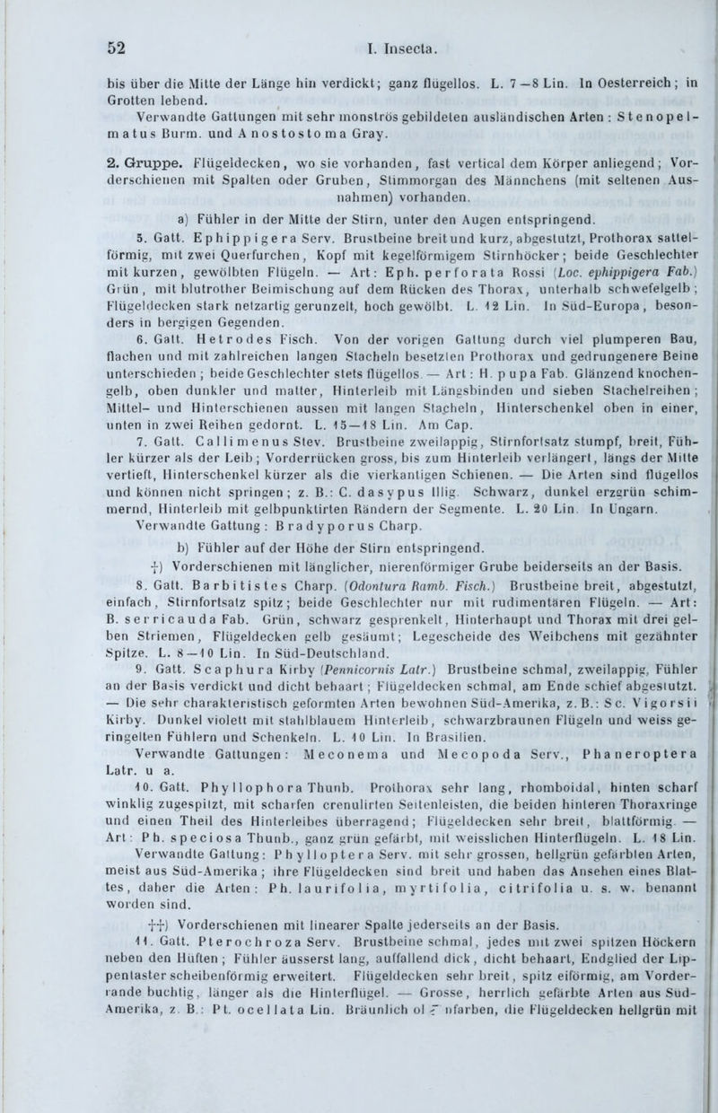 bis über die Mitte der Länge hin verdickt; ganz flügellos. L. 7—8Lin. In Oesterreich ; in Grotten lebend. Verwandte Gattungen mit sehr monströs gebildeten ausländischen Arten: Stenopel- m a tu s Burra. und Anostostoma Gray. 2. Gruppe. Flügeldecken, wo sie vorhanden, fast vertical dem Körper anliegend; Vor- derschienen mit Spalten oder Gruben, Slimmorgan des Männchens (mit seltenen Aus- nahmen) vorhanden. a) Fühler in der Mitte der Stirn, unter den Augen entspringend. 5. Gatt. E p h ip p i g e r a Serv. Brustbeine breit und kurz, abgestutzt, Prothorax sattel- förmig, mit zwei Querfurchen, Kopf mit kegelförmigem Stirnhöcker; beide Geschlechter mit kurzen , gewölbten Flügeln. — Art: E p h. p e r f o r a t a Rossi [Loc. ephippigera Fab.) Grün, mit blutrother Beimischung auf dem Rücken des Thorax, unterhalb schwefelgelb ; Flügeldecken stark netzartig gerunzelt, hoch gewölbt. L. -12 Lin. In Süd-Europa, beson- ders in bergigen Gegenden. 6. Gatt. Hetrodes Fisch. Von der vorigen Galtung durch viel plumperen Bau, flachen und mit zahlreichen langen Stacheln besetzten Protliorax und gedrungenere Beine unterschieden ; beide Geschlechter stets flügellos. — Art: H. p upa Fab. Glänzend knochen- gelb, oben dunkler und matter, Hinterleib mit Längsbinden und sieben Slachelreihen ; Mittel- und Hinterschienen aussen mit langen Stacheln, Hinlerschenkel oben in einer, unten in zwei Reihen gedornt. L. 15 — 18 Lin. Am Cap. 7. Galt. Ca 1 Ii m enus Slev. Brustbeine zweilappig, Slirnfortsatz stumpf, breit, Füh- ler kürzer als der Leib; Vorderrücken gross, bis zum Hinterleib verlängert, längs der Mitte vertieft, Hinterschenkel kürzer als die vierkantigen Schienen. — Die Arten sind flügellos und können nicht springen; z. B.: C. dasypus lllig. Schwarz, dunkel erzgrün schim- mernd, Hinterleib mit gelbpunktirten Rändern der Segmente. L. 20 Lin. In Ungarn. Verwandte Gattung : Bradyporus Charp. b) Fühler auf der Höhe der Stirn entspringend. -{-) Vorderschienen mit länglicher, nierenförmiger Grube beiderseits an der Basis. S.Gatt. Barbitistes Charp. {Odontura Ramb. Fisch.) Brustbeine breit, abgestutzt, einfach, Stirnfortsalz spitz; beide Geschlechter nur mit rudimentären Flügeln. — Art: B. serricauda Fab. Grün, schwarz gesprenkelt, Hinterhaupt und Thorax mit drei gel- ben Striemen, Flügeldecken gelb gesäumt; Legescheide des Weibchens mit gezähnter Spitze. L. 8—10 Lin. In Süd-Deutschland. 9. Gatt. S c a p hu ra Kirby (Pe/mecorw/^ Za/r.) Brustbeine schmal, zweilappig, Fühler an der Basis verdickt und dicht behaart; Flügeldecken schmal, am Ende schief abgestutzt. — Die sehr charakteristisch geformten Arten bewohnen Süd-Amerika, z.B.: Sc. Vigorsii Kirby. Dunkel violett mit stahlblauem Hmlerleib, schwarzbraunen Flügeln und weiss ge- ringelten Fühlern und Schenkeln. L. 10 Lin. In Brasilien. Verwandte Gattungen: Meconema und INIecopoda Serv., Phaneroptera Latr. u a. 10. Gatt. Phy 11 op h o ra Thunb. Prolhorax sehr lang, rhomboidal, hinten scharf winklig zugespitzt, mit scharfen crenulirlen Seitenleisten, die beiden hinleren Thoraxringe und einen Theil des Hinterleibes überragend; Flügeldecken sehr breit, blattförmig. — Art: Ph. speciosa Thunb., ganz grün gefärbt, mit weisslichen Hinterflügeln. L. 18 Lin. Verwandte Gattung : P h y 11 o p t e r a Serv. mit sehr grossen, hellgrün gefärbten Arten, meist aus Süd-Amerika ; ihre Flügeldecken sind breit und haben das Ansehen eines Blat- tes , daher die Arten: Ph. laurifolia, myrtifolia, citrifolia u. s. w. benannt worden sind. j-j-) Vorderschienen mit linearer Spalte jederseils an der Basis. 11. Gatt. P t e r o c h r o z a Serv. Brustbeine schmal, jedes mit zwei spitzen Höckern neben den Hüften ; Fühler äusserst lang, auffallend dick, dicht behaart, Endglied der Lip- pentasterscheibenförmig erweitert. Flügeldecken sehr breit, spitz eiförmig, am Vorder- rande buchtig, länger als die Hinlerflügel. — Grosse, herrlich gefärbte Arten aus Süd- Amerika, z. B.: P t. ocellata Lin. Bräunlich ol-T nfarben, die Flügeldecken hellgrün mit