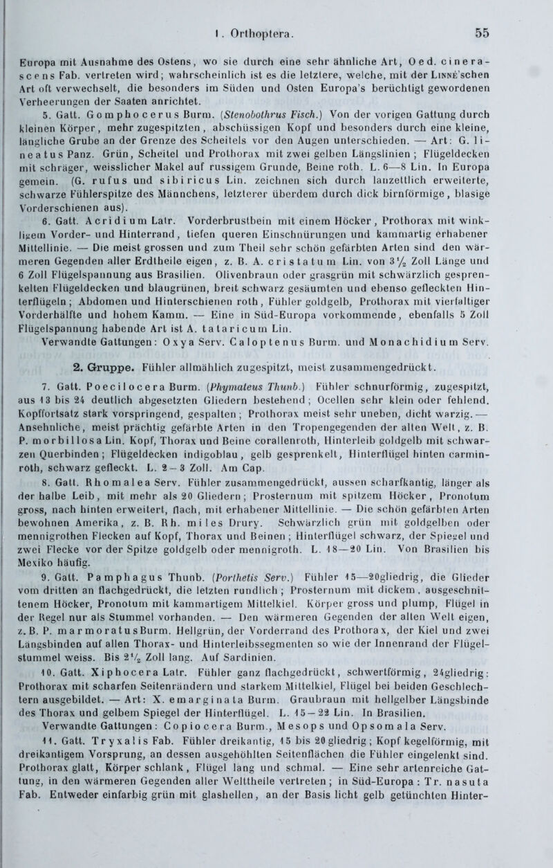 Europa mit Ausnahme des Ostens, wo sie durch eine sehr ähnliche Art, Oed. cinera- scens Fab. vertreten wird; wahrscheinlich ist es die letztere, welche, mit der LiNNE SChen Art oft verwechselt, die besonders im Süden und Osten Europa's berüchtigt gewordenen Verheerungen der Saaten anrichtet. 5. Gatt. Gomphocerus Burm. [Stenobothrus Fisch.) Von der vorigen Gattung durch kleinen Körper, mehr zugespitzten , abschüssigen Kopf und besonders durch eine kleine, längliche Grube an der Grenze des Scheitels vor den Augen unterschieden. — Art: G. li- neatusPanz. Grün, Scheitel und Prothorax mit zwei gelben Längslinien ; Flügeldecken mit schräger, weisslicher Makel auf russigera Grunde, Beine roth. L. 6—8 Lin. In Europa gemein. (G. rufus und sibiricus Lin. zeichnen sich durch lanzettlich erweiterte, schwarze Fühlerspitze des Männchens, letzlerer überdem durch dick birnförmige, blasige Vorderschienen aus). 6. Gatt. A er i d i u m Lalr. Vorderbrustbein mit einem Höcker , Prothorax mit wink- li^iem Vorder-und Hinterrand, tiefen queren Einschnürungen und karamartig erhabener Mittellinie. — Die meist grossen und zum Theil sehr schön gefärbten Arten sind den wär- meren Gegenden aller Erdtheile eigen, z. B. A. c r i s t a t u m Lin, von 3 % Zoll Länge und 6 Zoll Flügelspannung aus Brasilien. Olivenbraun oder grasgrün mit schwärzlich gespren- kelten Flügeldecken und blaugrünen, breit schwarz gesäumten und ebenso gefleckten Hin- lerflügeln ; Abdomen und Hinterschienen roth, Fühler goldgelb, Prothorax mit vierfaltiger Vorderhälfte und hohem Kamm. — Eine in Süd-Europa vorkommende, ebenfalls 5 Zoll Flügelspannung habende Art ist A. ta tari cum Lin. Verwandte Gattungen: 0 x y a Serv. Caloptenus Burm. und Monachidium Serv. 2. Gruppe. Fühler allmählich zugespitzt, meist zusammengedrückt. 7. Gatt. Po ec i 1 o ce ra Burm. {Phymateus Thunb.) Fühler schnurförmig, zugespitzt, aus 13 bis 24 deutlich abgesetzten Gliedern bestehend; Ocellen sehr kleinoder fehlend. Kopffortsatz stark vorspringend, gespalten; Prothorax meist sehr uneben, dicht warzig.— Ansehnliche, meist prächtig gefärbte Arten in den Tropengegenden der alten Welt, z. B. P. morbillosa Lin. Kopf, Thorax und Beine corallenroth, Hinterleib goldgelb mit schwar- zen Querbinden ; Flügeldecken indigoblau, gelb gesprenkelt, Hinterflügel hinten carmin- roth, schwarz gefleckt. L. 2-3 Zoll. Am Gap. 8. Gatt. R h o m a 1 e a Serv. Fühler zusammengedrückt, aussen scharfkantig, länger als der halbe Leib, mit mehr als 20 Gliedern ; Prosternum mit spitzem Höcker, Pronotum gross, nach hinten erweitert, flach, mit erhabener Mittellinie. — Die schön gefärbten Arten bewohnen Amerika, z. B. Rh. miles Drury. Schwärzlich grün mit goldgelben oder mennigrothen Flecken auf Kopf, Thorax und Beinen ; Hinlerflügel schwarz, der Spiei^el und zwei Flecke vor der Spitze goldgelb oder mennigroth. L. -18—20 Lin. Von Brasilien bis Mexiko häufig, 9. Gatt. Pamphagus Thunb. [Porlhetis Serv.) Fühler 15—SOgliedrig, die Glieder vom dritten an flachgedrückt, die letzten rundlich ; Prosternum mit dickem, ausgeschnit- tenem Höcker, Pronotum mit kammartigem Mittelkiel. Körper gross und plump, Flügel in der Regel nur als Stummel vorhanden. — Den wärmeren Gegenden der alten Welt eigen, z. B. P. m a r m o ratu s Burm. Hellgrün, der Vorderrand des Prothora x, der Kiel und zwei Längsbinden auf allen Thorax- und Hinterleibssegmenten so wie der Innenrand der Flügel- stummel weiss. Bis 2*4 Zoll lang. Auf Sardinien. 10. Gatt. X i p hocera Latr. Fühler ganz flachgedrückt, schwertförmig, 24gliedrig: Prothorax mit scharfen Seitenrändern und starkem Mittelkiel, Flügel bei beiden Geschlech- tern ausgebildet. — Art: X. emarginata Burm. Graubraun mit hellgelber Längsbinde des Thorax und gelbem Spiegel der Hinterflügel. L. 15 — 22 Lin. In Brasilien. Verwandte Gattungen : Gopiocera Burm., M es op s und Op so m a 1 a Serv. 11. Gatt. TryxalisFab, Fühler dreikantig, 15 bis 20 gliedrig ; Kopf kegelförmig, mit dreikantigem Vorsprung, an dessen ausgehöhlten Seitenflächen die Fühler eingelenkt sind. Prothorax glatt, Körper schlank, Flügel lang und schmal. — Eine sehr artenreiche Gat- tung, in den wärmeren Gegenden aller Welttheile vertreten; in Süd-Europa : Tr. nasuta Fab. Entweder einfarbig grün mit glashellen, an der Basis licht gelb getünchten Hinter-