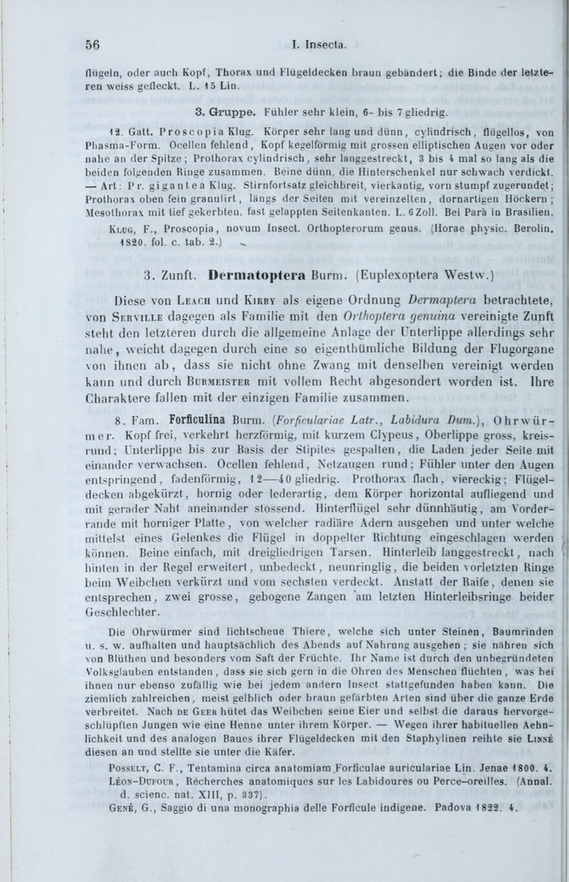 Hügeln, oder auch Kopf, Thorax und Flügeldecken braun gebändert; die Binde der letzle- ren weiss gelleckt. L. 15 Lin. 3. Gruppe. Fühler sehr klein, 6- bis Tgliedrig. 12. Gatt. Prosc opia Klug. Körper sehr lang und dünn, cylindrisch, flügellos, von Phasma-Form. Ocellen fehlend , Kopf kegelförmig mit grossen elliptischen Augen vor oder nahe an der Spitze; Prothorax cylindrisch, sehr langgestreckt, 3 bis 4 mal so lang als die beiden folgenden Ringe zusammen. Beine dünn, die Hinterschenkel nur schwach verdickt. — Art: P r. gi g a n t e a Klug. Stirnfortsatz gleichbreit, vierkantig, vorn stumpf zugerundet: Prothorax oben fein granulirt, längs der Seiten mit vereinzelten, dornartigen Höckern; Mesothorax mit lief gekerbten, fast gelappten Seilenkanten. L. 6 Zoll. Bei Parä in Brasilien. Klug, F., Proscopia, novum Insect. Orthopterorura genus. (Horae physic. Berolin. 1820. fol. c. tab. 2.) 3. Zunft. Derniatoptera Burni. (Euplexoptera Westw.) Diese von Leach und Kirby als eigene Ordnung Dermaptera betrachtete, von Serville dagegen als Familie mit den Orthoptera genuina vereinigte Zunft steht den letzteren durch die allgemeine Anlage der Unterlippe allerdings sehr nahe, weicht dagegen durch eine so eigenthümliche Bildung der Flugorgane von ihnen ab, dass sie nicht ohne Zwang mit denselben vereinigt werden kann und durch Burmeister mit vollem Recht abgesondert worden ist. Ihre Charaktere fallen mit der einzigen Familie zusammen. 8. Farn. Forficulina Burm. [Forficulariae Latr., Labidura Dum.), Ohrw ür- mer. Kopf frei, verkehrt herzförmig, mit kurzem Clypeus, Oberlippe gross, kreis- rund; Unterlippe bis zur Basis der Stipiles gespalten, die Laden jeder Seite mit einander verwachsen. Ocellen fehlend, Netzaugen rund; Fühler unter den Augen entspringend, fadenförmig, 12—40 gliedrig. Prothorax flach, viereckig; Flügel- decken abgekürzt, hornig oder lederarlig, dem Körper horizontal aufliegend und mit gerader Naht aneinander stossend. Hinterflügel sehr dünnhäutig, am Vorder- rande mit horniger Platte, von w^elcher radiäre Adern ausgehen und unter welche mittelst eines Gelenkes die Flügel in doppelter Richtung eingeschlagen werden können. Beine einfach, mit dreigliedrigen Tarsen. Hinterleib langgestreckt, nach hinten in der Regel erweitert, mibedeckt, neunringlig, die beiden vorletzten Kinge beim Weibchen verkürzt und vom sechsten verdeckt. Anstatt der Raife, denen sie entsprechen, zwei grosse, gebogene Zangen am letzten Hinterleibsringe beider Geschlechter. Die Ohrwürmer sind lichtscheue Thiere, welche sich unter Steinen, Baumrinden II. s. w. aufhalten und hauptsächlich des Abends auf Nahrung ausgehen ; sie niihren sich von Blüthen und besonders vom Saft der Früchte. Ihr Name ist durch den unbegründeten Volksglauben entstanden, dass sie sich gern in die Ohren des Menschen flüchten , was bei ihnen nur ebenso zufällig wie bei jedem andern Insect slatfgefunden haben kann. Die ziemlich zahlreichen, meist gelblich oder braun gefärbten Arten sind über die ganze Erde verbreitet. Nach de Geer hütet das V^'^eibchen seine Eier und selbst die daraus hervorge- schlüpften Jungen wie eine Henne unter ihrem Körper. — Wegen ihrer habituellen Aeho- lichkeit und des analogen Baues ihrer Flügeldecken mit den Staphylinen reihte sie Linne diesen an und stellte sie unter die Käfer. Posselt, C. F., Tentamina circa anatomiam Forficulae auriculariae Lin. Jenae 1800. 4. Leon-Dufour , Recherches anatomiques sur les Labidoures ou Perce-oreilles. (AnnaL d. scienc. nat. XIII, p. 337). Gene, G., Saggio di una monographia delle Forficule indigene. Padova 1 822. 4.