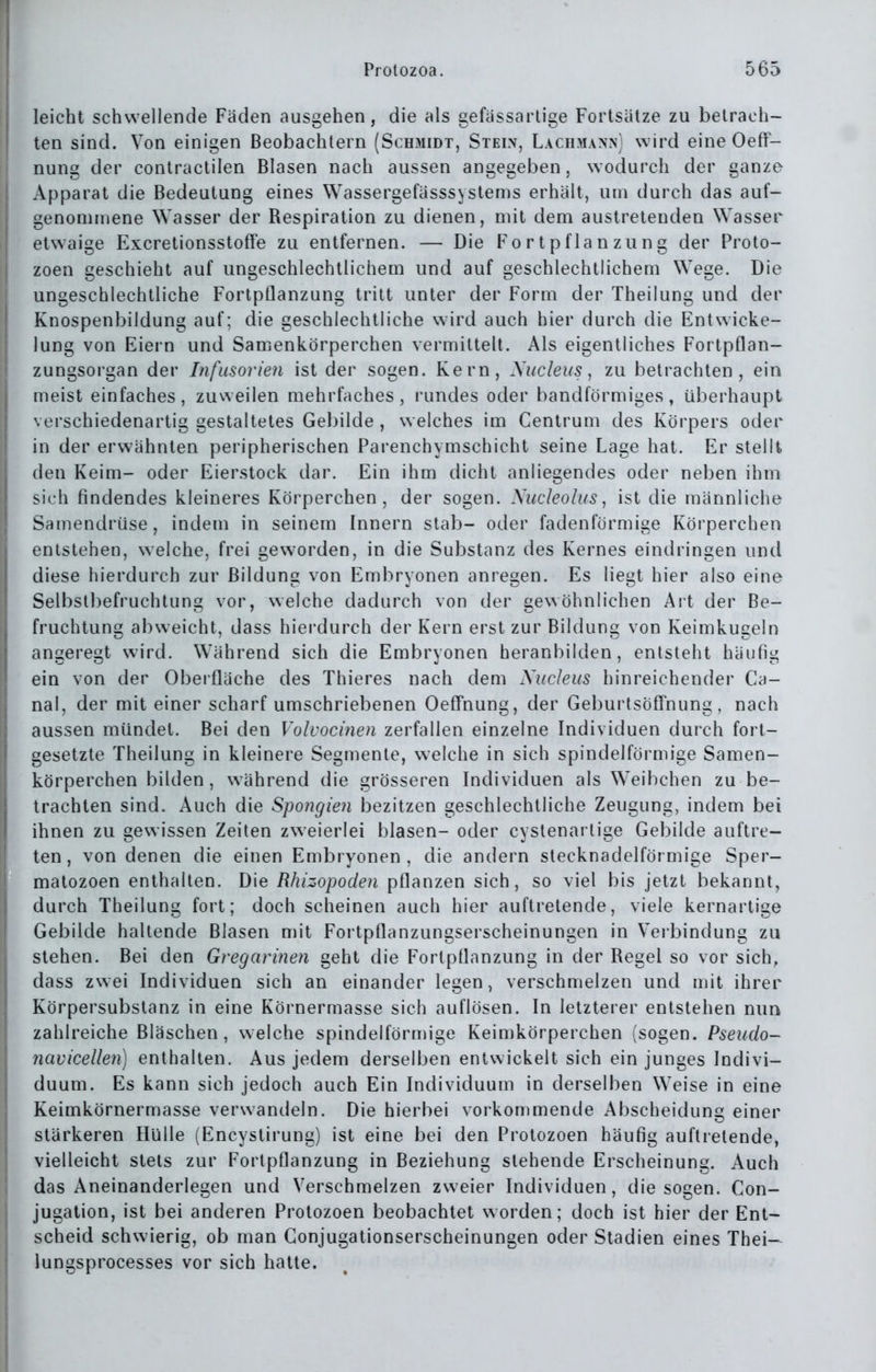 leicht schwellende Fäden ausgehen, die als gefassartige Fortsätze zu betrach- ten sind. Von einigen Beobachtern (Schmidt, Stein, Lachmann) wird eine OefF- nung der contractilen Blasen nach aussen angegeben, wodurch der ganze Apparat die Bedeutung eines Wassergefässsystems erhält, um durch das auf- genommene Wasser der Respiration zu dienen, mit dem austretenden Wasser etwaige Excretionsstoffe zu entfernen. — Die Fortpflanzung der Proto- zoen geschieht auf ungeschlechtlichem und auf geschlechtlichem Wege. Die ungeschlechtliche Fortpflanzung tritt unter der Form der Theilung und der Knospenbildung auf; die geschlechtliche wird auch hier durch die EntWicke- lung von Eiern und Samenkörperchen vermittelt. Als eigentliches Forlpflan- zungsorgan der Infusorien ist der sogen. Kern, Xucleus, zu betrachten, ein meist einfaches, zuweilen mehrfaches, rundes oder bandförmiges, überhaupt vei'schiedenartig gestaltetes Gebilde , welches im Centrum des Körpers oder in der erwähnten peripherischen Parenchymschicht seine Lage hat. Er stellt den Keim- oder Eierstock dar. Ein ihm dicht anliegendes oder neben ihm sich findendes kleineres Körperchen, der sogen. Xucleolus, ist die männliche Samendrüse, indem in seinem Innern stab- oder fadenförmige Körperchen entstehen, welche, frei geworden, in die Substanz des Kernes eindringen und diese hierdurch zur Bildung von Embryonen anregen. Es liegt hier also eine Selbstbefruchtung vor, welche dadurch von der gewöhnlichen Art der Be- fruchtung abweicht, dass hierdurch der Kern erst zur Bildung von Keimkugeln angeregt wird. Während sich die Embryonen heranbilden, entsteht häufig ein von der Obei'fläche des Thieres nach dem Xucleus hinreichender Ca- nal, der mit einer scharf umschriebenen Oeffnung, der GeburtsöfiTnung, nach aussen mündet. Bei den Volvocinen zerfallen einzelne Individuen durch fort- gesetzte Theilung in kleinere Segmente, welche in sich spindelförmige Samen- körperchen bilden, während die grösseren Individuen als Weibchen zu be- trachten sind. Auch die Spongien bezitzen geschlechtliche Zeugung, indem bei ihnen zu gewissen Zeiten zweierlei blasen- oder cystenarlige Gebilde auftre- ten , von denen die einen Embryonen , die andern stecknadelförmige Sper- matozoen enthalten. Die Rhizopoden pflanzen sich, so viel bis jetzt bekannt, durch Theilung fort; doch scheinen auch hier auftretende, viele kernartige Gebilde haltende Blasen mit Fortpflanzungserscheinungen in Verbindung zu stehen. Bei den Gregarinen geht die Fortpflanzung in der Regel so vor sich, dass zwei Individuen sich an einander legen, verschmelzen und mit ihrer Körpersubslanz in eine Körnermasse sich auflösen. In letzterer entstehen nun zahlreiche Bläschen, welche spindelföruiige Keimkörperchen (sogen. Pseudo- navicellen] enthalten. Aus jedem derselben entwickelt sich ein junges Indivi- duum. Es kann sich jedoch auch Ein Individuum in derselben Weise in eine Keimkörnermasse verwandeln. Die hierbei vorkommende Abscheidung einer stärkeren Hülle (Encystirung) ist eine bei den Protozoen häufig auftretende, vielleicht stets zur Fortpflanzung in Beziehung stehende Erscheinung. Auch das Aneinanderlegen und Verschmelzen zweier Individuen, die sogen. Con- jugation, ist bei anderen Protozoen beobachtet worden; doch ist hier der Ent- scheid schwierig, ob man Conjugationserscheinungen oder Stadien eines Thei— lungsprocesses vor sich hatte.