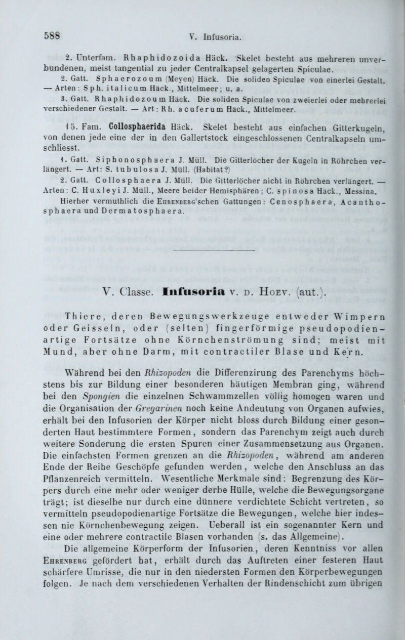 2. Unterfam. Rh a ph ido z o i d a HUck. Skelet besteht aus mehreren unver- bundenen, meist tangential zu jeder Centraikapsel gelagerten Spiculae. 2. Gatt. Sphaerozo u m Meyen, Hack. Die soliden Spiculae von einerlei Gestalt. — Arten : Sph. italicum Häck., Mittelmeer; u. a. 3. Gatt. Rhaphidozoum Häck. Die soliden Spiculae von zweierlei oder mehrerlei verschiedener Gestalt. — Art: Rh. acuferum Häck., Mittelmeer. 15. Farn. Collosphaerida Hack. Skelet besteht aus einfachen Gitterkugeln, von denen jede eine der in den Gallertstock eingeschlossenen Centralkapseln um- schliesst. 4. Gatt. Siphonosphaera J. Müll. Die Gitterlöcher der Kugeln in Rohrchen ver- längert. — Art: S. t u b u 10 s a J. Müll. (Habitat ? 2. Gatt. Collosphaera J.Müll. Die Gitterlöcher nicht in Röhrchen verlängert.— Arten: C. Huxleyi J. Müll., Meere beider Hemisphären: C. spinosa Häck., Messina. Hierher vermulhlich die EHRENBERGSchen Gattungen: Cenosphaera, Acantho- s ph a e ra und Dermatosphaera. V. Classe. lufiisoria v. d. Hoev. :aut. . Thiere, deren BewegiingsWerkzeuge entweder Wimpern oder Geissein, oder (selten) fingerförmige pseudopodien- artige Fortsätze ohne Körnchenström uns sind: meist mit Mund, aber ohne Darm, mit contractiler Blase und K er n. Während bei den Rluzopoden die Differenzirung des Parenchyms höch- stens bis zur Bildung einer besonderen häutigen Membran ging, während bei den Spo?igie?i die einzelnen Schwammzellen völlig homogen waren und die Organisation der Gregarinen noch keine Andeutung von Organen aufwies, erhält bei den Infusorien der Körper nicht bloss durch Bildung einer geson- derten Haut bestimmtere Formen, sondern das Parenchym zeigt auch durch weitere Sonderung die ersten Spuren einer Zusammensetzung aus Organen. Die einfachsten Formen grenzen an die Rhizopoden , während am anderen Ende der Reihe Geschöpfe gefunden werden , welche den Anschluss an das Pflanzenreich vermitteln. Wesentliche Merkmale sind: Begrenzung des Kör- pers durch eine mehr oder weniger derbe Hülle, welche die Bewegungsorgane trägt; ist dieselbe nur durch eine dünnere verdichtete Schicht vertreten, so vermitteln pseudopodienarlige Fortsätze die Bewegungen, welche hier indes- sen nie Körnchenbewegung zeigen. Ueberall ist ein sogenannter Kern und eine oder mehrere conlractile Blasen vorhanden s. das Allgemeine . Die allgemeine Körperform der Infusorien , deren Kennlniss vor allen Ehre.nberg gefördert hat, erhält durch das Auftreten einer festeren Haut schärfere Umrisse, die nur in den niedersten Formen den Körperbewegungen folsen. Je nach dem vei^schiedenen Verhalten der Rindenschicht zum übrisen