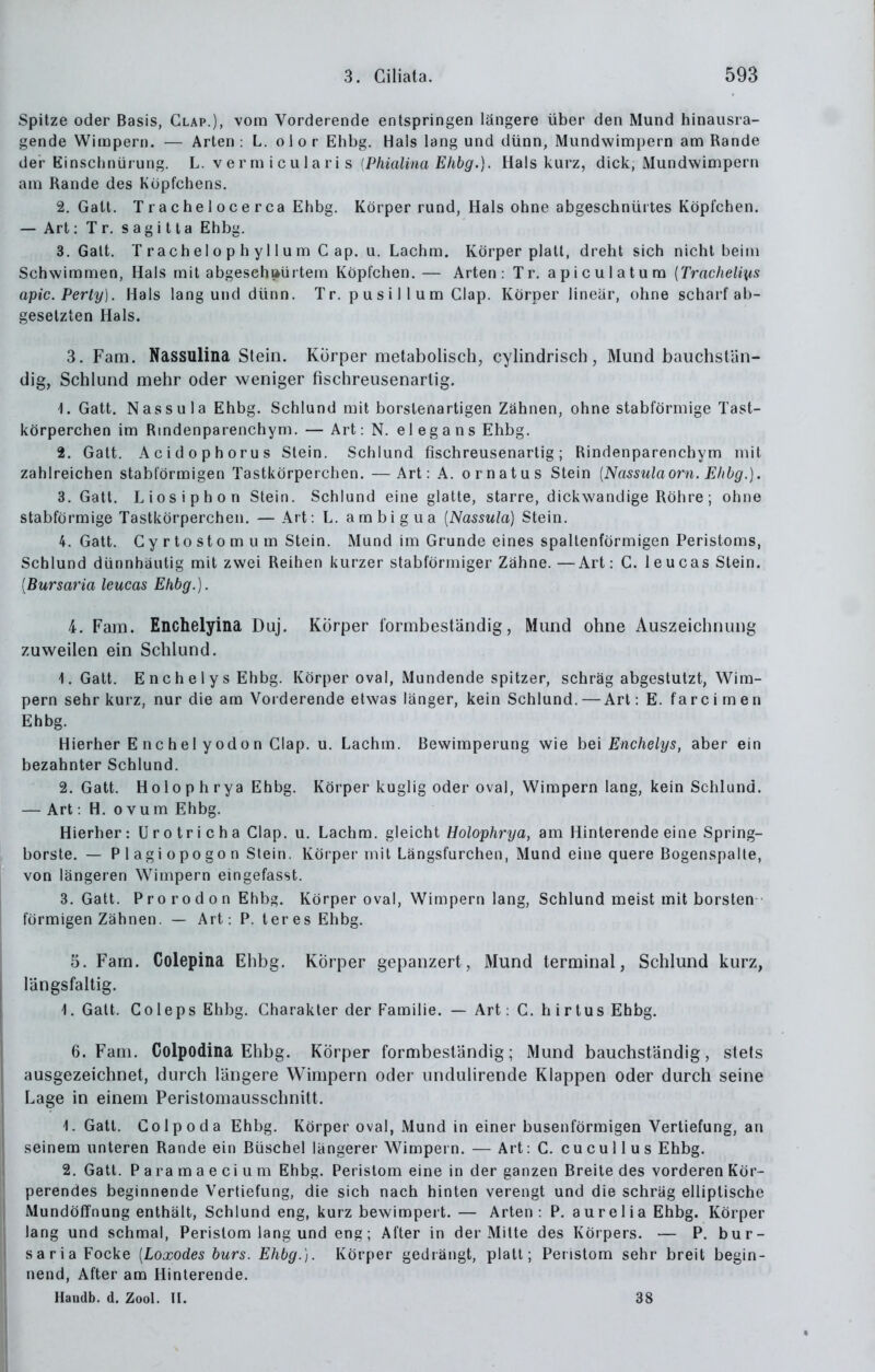 Spitze oder Basis, Glap.), vom Vorderende entspringen längere über den Mund hinausra- gende Wimpern. — Arten : L. o 1 o r Ehbg. Hals lang und dünn, Mundwimi)ern am Rande der Einschnürung. L. vermicularis iPfiialina Ehbg.). Hals kurz, dick, Mundwimperii am Rande des Köpfchens. 2. Galt. Tracheiocerca Ehbg. Körper rund, Hals ohne abgeschnürtes Köpfchen. — Art: T r. s ag i t ta Ehbg. 3. Galt. T räch el o p h y II u m G ap, u. Lachm. Körper platt, dreht sich nicht beim Schwimmen, Hals mit abgesehaürtem Köpfchen. — Arten: Tr. apiculatura {Tracheli\is apic.Perty). Hals lang und dünn. Tr. p u s i 11 u m Glap. Körper linear, ohne scharf ab- gesetzten Hals. 3. Fam. Nassulina Stein. Körper metabolisch, cylindrisch, Mund bauchsfan- dig, Schlund mehr oder weniger fischreusenarlig. 1. Gatt, Nassula Ehbg. Schlund mit borstenartigen Zähnen, ohne stabförmige Tast- körperchen im Rindenparenchym. — Art: N. el eg a n s Ehbg. 2. Gatt. Acidophorus Stein. Schlund fischreusenartig; Rindenparenchym mit zahlreichen stabförmigen Tastkörperchen. —Art: A. ornatus Stein [Nassula orn. E/ibg.). 3. Gatt. Liosiphon Stein. Schlund eine glatte, starre, dickwandige Röhre ; ohne stabförmige Tastkörperchen. — Art: L. ambigua [Nassula] Stein. 4. Gatt. Gy rto sto m u m Stein. Mund im Grunde eines spaltenförmigen Peristoms, Schlund dünnhäutig mit zwei Reihen kurzer stabförmiger Zähne. —Art: G. 1 e u cas Stein. [Bursaria leucas Ehbg.). 4. Fam. Enchelyina Duj. Körper formbeständig, Mund ohne Auszeichnung zuweilen ein Schlund. 1. Galt. Enchelys Ehbg. Körper oval, Mundende spitzer, schräg abgestutzt, Wim- pern sehr kurz, nur die am Vorderende etwas länger, kein Schlund. — Art: E. farci men Ehbg. Hierher E nc hei y Odo n Glap. u. Lachm. ßewimperung wie bei Enchelys, aber ein bezahnler Schlund. 2. Galt. Holophrya Ehbg. Körper kuglig oder oval, Wimpern lang, kein Schlund. — Art: H. o vum Ehbg. Hierher: U ro tri c h a Glap. u. Lachm. i^] eicht Holophrya, am Hinlerende eine Spring- borste. — P 1 agi opogo n Stein. Körper mit Längsfurchen, Mund eine quere Bogenspalle, von längeren Wimpern eingefasst. 3. Gatt. Prorodon Ehbg. Körper oval, Wimpern lang, Schlund meist mit borsten förmigen Zähnen. — Art: P. leres Ehbg. 5. Fam. Colepina Ehbg. Körper gepanzert, Mund terminal, Schlund kurz, lUngsfaltig. 1. Gatt. Coleps Ehbg. Charakter der Familie. — Art: G. hirtus Ehbg. 6. Fam. Colpodina Ehbg. Körper formbeständig; Mund bauchständig, stets ausgezeichnet, durch längere Wimpern oder undulirende Klappen oder durch seine Lage in einem Peristomausschnitt. 1. Gatt. Golpoda Ehbg. Körper oval, Mund in einer busenförmigen Vertiefung, an seinem unteren Rande ein Büschel längerer Wimpern. — Art: G. cucullus Ehbg. 2. Gatt. P a ra m a e c i u m Ehbg. Peristom eine in der ganzen Breite des vorderen Kör- perendes beginnende Vertiefung, die sich nach hinten verengt und die schräg elliptische Mundöffnung enthält, Schlund eng, kurz bewimpert. — Arten: P. aurelia Ehbg. Körper lang und schmal, Peristom lang und eng; After in der Milte des Körpers. — P. bur- saria Pocke [Loxodes burs. Ehbg.). Körper gedrängt, platt; Peristom sehr breit begin- nend, After am Hinterende. Handb. d. Zool. II. 38
