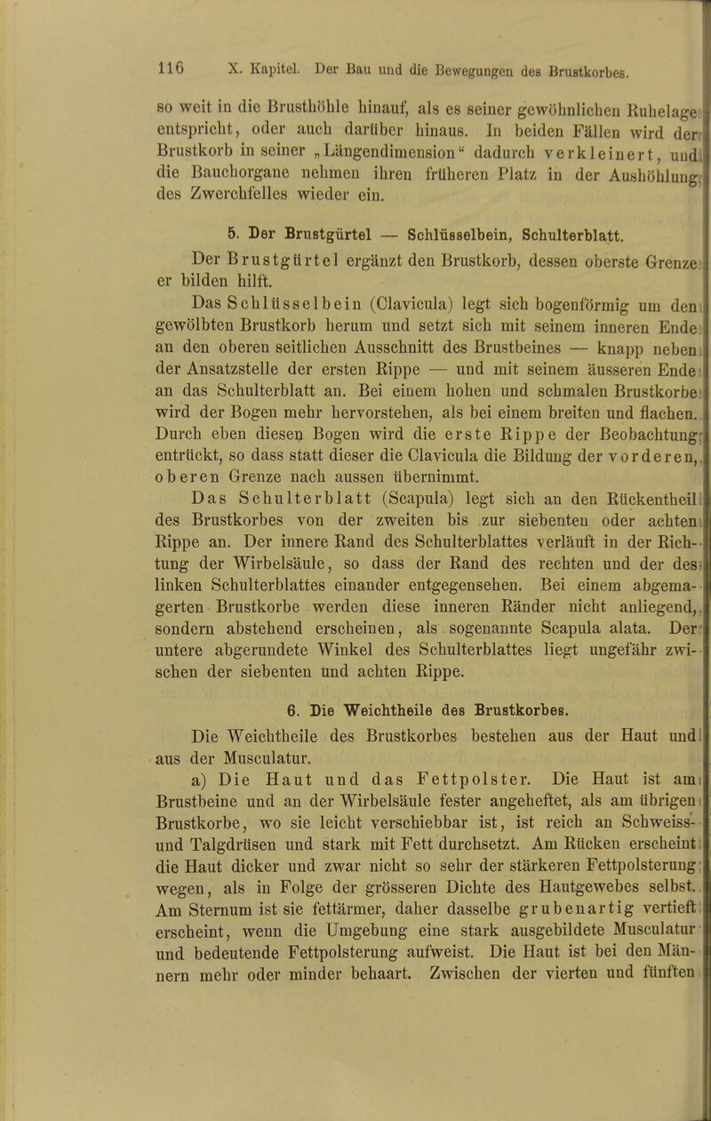 80 weit in die Brusthöhle hinauf, als es seiner gewöhnlichen Ruhelag entspricht, oder auch darüber hinaus. In beiden Fällen wird der Brustkorb in seiner „Längendimension dadurch verkleinert, und die Bauchorgane nehmen ihren früheren Platz in der Aushöhlun des Zwerchfelles wieder ein. 5. Der Brustgürtel — Schlüsselbein, Schulterblatt. Der Brustgürtel ergänzt den Brustkorb, dessen oberste Grenze? er bilden hilft. Das Schlüsselbein (Clavicula) legt sich bogenförmig um dem gewölbten Brustkorb herum und setzt sich mit seinem inneren Ende? an den oberen seitlichen Ausschnitt des Brustbeines — knapp nebeni der Ansatzstelle der ersten Rippe — und mit seinem äusseren Ende: an das Schulterblatt an. Bei einem hohen und schmalen Brustkorbe; wird der Bogen mehr hervorstehen, als bei einem breiten und flachen,. Durch eben diesen Bogen wird die erste Rippe der Beobachtung: entrückt, so dass statt dieser die Clavicula die Bildung der vorderen,, oberen Grenze nach aussen übernimmt. Das Schulterblatt (Scapula) legt sich an den Rückentheill des Brustkorbes von der zweiten bis zur siebenten oder achtem Rippe an. Der innere Rand des Schulterblattes verläuft in der Rich- tung der Wirbelsäule, so dass der Rand des rechten und der desä linken Schulterblattes einander entgegensehen. Bei einem abgema-- gerten Brustkorbe werden diese inneren Ränder nicht anliegend,, sondern abstehend erscheinen, als sogenannte Scapula alata. Derr untere abgerundete Winkel des Schulterblattes liegt ungefähr zwi- schen der siebenten Und achten Rippe. 6. Die Weichtheile des Brustkorbes. Die Weichtheile des Brustkorbes bestehen aus der Haut undl aus der Musculatur. a) Die Haut und das Fettpolster. Die Haut ist ami Brustbeine und an der Wirbelsäule fester angeheftet, als am übrigem Brustkorbe, wo sie leicht verschiebbar ist, ist reich an Schweiss- und Talgdrüsen und stark mit Fett durchsetzt. Am Rücken erscheint» die Haut dicker und zwar nicht so sehr der stärkeren Fettpolsterung • wegen, als in Folge der grösseren Dichte des Hautgewebes selbst. Am Sternum ist sie fettärmer, daher dasselbe grubenartig vertieft erscheint, wenn die Umgebung eine stark ausgebildete Musculatur' und bedeutende Fettpolsterung aufweist. Die Haut ist bei den Män- nern mehr oder minder behaart. Zwischen der vierten und fünften i