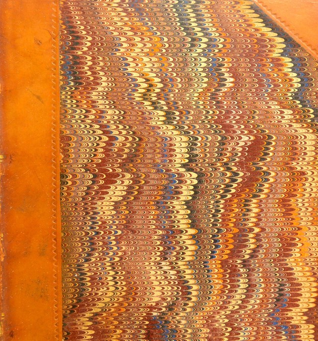 No text description is available for this image