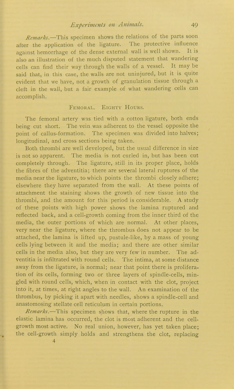 Remarks— 'Phis specimen shows the relations of the parts soon after the application of the ligature. The protective influence against hemorrhage of the dense external wall is well shown. It is also an illustration of the much disputed statement that wandering cells can find their way through the walls of a vessel. It may be said that, in this case, the walls are not uninjured, but it is quite evident that we have, not a growth of granulation tissue through a cleft in the wall, but a fair example of what wandering cells can accomplish. Femoral. Eighty Hours. The femoral artery was tied with a cotton ligature, both ends being cut short. The vein was adherent to the vessel opposite the point of callus-formation. The specimen was divided into halves; longitudinal, and cross sections being taken. Both thrombi are well developed, but the usual difference in size is not so apparent. The media is not curled in, but has been cut completely through. The ligature, still in its proper place, holds the fibres of the adventitia; there are several lateral ruptures of the media near the ligature, to which points the thrombi closely adhere; elsewhere they have separated from the wall. At these points of attachment the staining shows the growth of new tissue into the thrombi, and the amount for this period is considerable. A study of these points with high power shows the lamina ruptured and reflected back, and a cell-growth coming from the inner third of the media, the outer portions of which are normal. At other places, very near the ligature, where the thrombus does not appear to be attached, the lamina is lifted up, pustule-like, by a mass of young cells lying between it and the media; and there are other similar cells in the media also, but they are very few in number. The ad- ventitia is infiltrated with round cells. The intima, at some distance away from the ligature, is normal; near that point there is prolifera- tion of its cells, forming two or three layers of spindle-cells, min- gled with round cells, which, when in contact with the clot, project into it, at times, at right angles to the wall. An examination of the thrombus, by picking it apart with needles, shows a spindle-cell and anastomosing stellate cell reticulum in certain portions. Remarks.—This specimen shows that, where the rupture in the elastic lamina has occurred, the clot is most adherent and the cell- growth most active. No real union, however, has yet taken place; the cell-growth simply holds and strengthens the clot, replacing 4