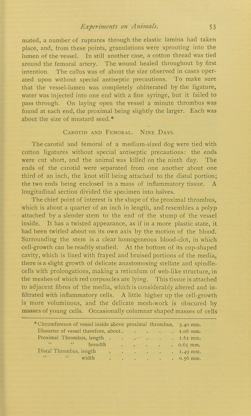 mated, a number of ruptures through the elastic lamina had taken place, and, from these points, granulations were sprouting into the lumen of the vessel. In still another case, a cotton thread was tied around the femoral artery. The wound healed throughout by first intention. The callus was of about the size observed in cases oper- ated upon without special antiseptic precautions. To make sure that the vessel-lumen was completely obliterated by the ligature, water was injected into one end with a fine syringe, but it failed to pass through. On laying open the vessel a minute thrombus was found at each end, the proximal being slightly the larger. Each was about the size of mustard seed.* Carotid and Femoral. Nine Days. The carotid and femoral of a medium-sized dog were tied with cotton ligatures without special antiseptic precautions: the ends were cut short, and the animal was killed on the ninth day. The ends of the carotid were separated from one another about one third of an inch, the knot still being attached to the distal portion; the two ends being enclosed in a mass of inflammatory tissue. A longitudinal section divided the specimen into halves. The chief point of interest is the shape of the proximal thrombus, which is about a quarter of an inch in length, and resembles a polyp attached by a slender stem to the end of the stump of the vessel inside. It has a twisted appearance, as if in a more plastic state, it had been twirled about on its own axis by the motion of the blood. Surrounding the stem is a clear homogeneous blood-clot, in which cell-growth can be readily studied. At the bottom of its cup-shaped cavity, which is lined with frayed and bruised portions of the media, there is a slight growth of delicate anastomosing stellate and spindle- cells with prolongations, making a reticulum of web-like structure, in the meshes of which red corpuscles are lying. This tissue is attached to adjacent fibres of the media, which is considerably altered and in- filtrated with inflammatory cells. A little higher up the cell-growth is more voluminous, and the delicate mesh-work is obscured by masses of young cells. Occasionally columnar shaped masses of cells * Circumference of vessel inside above proximal thrombus, Diameter of vessel therefore, about. Proximal Thrombus, length ...... breadth ..... Distal Thrombus, length “ “ width 3.40 mm. 1.08 mm. 1.61 mm. 0.65 mm. 1.49 mm. o. 56 mm.