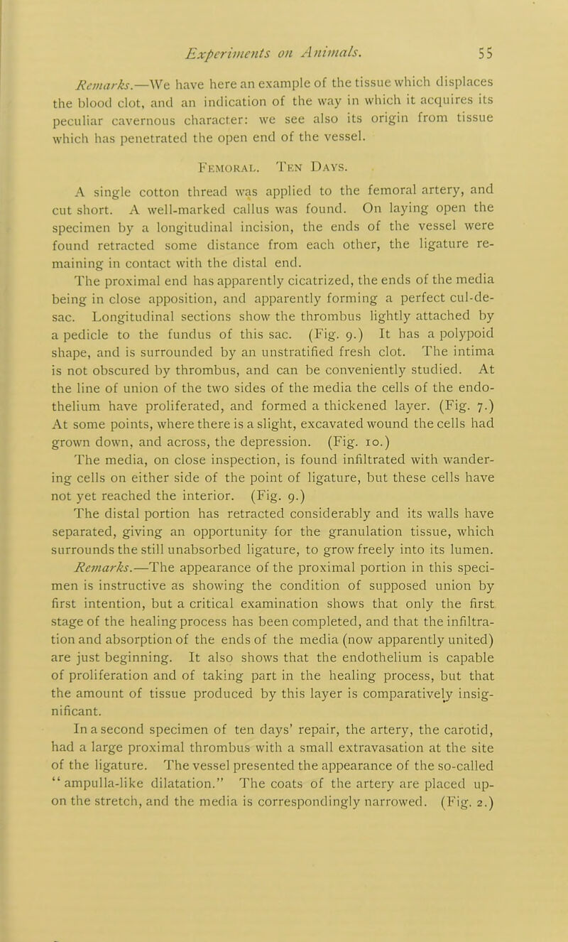 Remarks.—We have here an example of the tissue which displaces the blood clot, and an indication of the way in which it acquires its peculiar cavernous character: we see also its origin from tissue which has penetrated the open end of the vessel. Femoral. Ten Days. A single cotton thread was applied to the femoral artery, and cut short. A well-marked callus was found. On laying open the specimen by a longitudinal incision, the ends of the vessel were found retracted some distance from each other, the ligature re- maining in contact with the distal end. The proximal end has apparently cicatrized, the ends of the media being in close apposition, and apparently forming a perfect cul-de- sac. Longitudinal sections show the thrombus lightly attached by a pedicle to the fundus of this sac. (Fig. 9.) It has a polypoid shape, and is surrounded by an unstratified fresh clot. The intima is not obscured by thrombus, and can be conveniently studied. At the line of union of the two sides of the media the cells of the endo- thelium have proliferated, and formed a thickened layer. (Fig. 7.) At some points, where there is a slight, excavated wound the cells had grown down, and across, the depression. (Fig. 10.) The media, on close inspection, is found infiltrated with wander- ing cells on either side of the point of ligature, but these cells have not yet reached the interior. (Fig. 9.) The distal portion has retracted considerably and its walls have separated, giving an opportunity for the granulation tissue, which surrounds the still unabsorbed ligature, to grow freely into its lumen. Remarks.—The appearance of the proximal portion in this speci- men is instructive as showing the condition of supposed union by first intention, but a critical examination shows that only the first stage of the healing process has been completed, and that the infiltra- tion and absorption of the ends of the media (now apparently united) are just beginning. It also shows that the endothelium is capable of proliferation and of taking part in the healing process, but that the amount of tissue produced by this layer is comparatively insig- nificant. In a second specimen of ten days’ repair, the artery, the carotid, had a large proximal thrombus with a small extravasation at the site of the ligature. The vessel presented the appearance of the so-called “ampulla-like dilatation.” The coats of the artery are placed up- on the stretch, and the media is correspondingly narrowed. (Fig. 2.)
