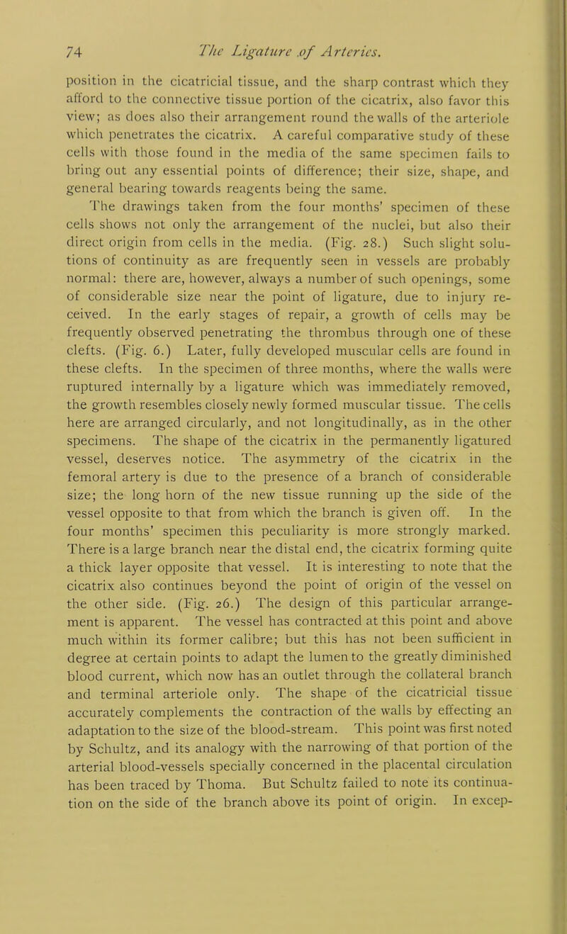 position in the cicatricial tissue, and the sharp contrast which they afford to the connective tissue portion of the cicatrix, also favor this view; as does also their arrangement round the walls of the arteriole which penetrates the cicatrix. A careful comparative study of these cells with those found in the media of the same specimen fails to bring out any essential points of difference; their size, shape, and general bearing towards reagents being the same. The drawings taken from the four months’ specimen of these cells shows not only the arrangement of the nuclei, but also their direct origin from cells in the media. (Fig. 28.) Such slight solu- tions of continuity as are frequently seen in vessels are probably normal: there are, however, always a number of such openings, some of considerable size near the point of ligature, due to injury re- ceived. In the early stages of repair, a growth of cells may be frequently observed penetrating the thrombus through one of these clefts. (Fig. 6.) Later, fully developed muscular cells are found in these clefts. In the specimen of three months, where the walls were ruptured internally by a ligature which was immediately removed, the growth resembles closely newly formed muscular tissue. The cells here are arranged circularly, and not longitudinally, as in the other specimens. The shape of the cicatrix in the permanently ligatured vessel, deserves notice. The asymmetry of the cicatrix in the femoral artery is due to the presence of a branch of considerable size; the long horn of the new tissue running up the side of the vessel opposite to that from which the branch is given off. In the four months’ specimen this peculiarity is more strongly marked. There is a large branch near the distal end, the cicatrix forming quite a thick layer opposite that vessel. It is interesting to note that the cicatrix also continues beyond the point of origin of the vessel on the other side. (Fig. 26.) The design of this particular arrange- ment is apparent. The vessel has contracted at this point and above much within its former calibre; but this has not been sufficient in degree at certain points to adapt the lumen to the greatly diminished blood current, which now has an outlet through the collateral branch and terminal arteriole only. The shape of the cicatricial tissue accurately complements the contraction of the walls by effecting an adaptation to the size of the blood-stream. This point was first noted by Schultz, and its analogy with the narrowing of that portion of the arterial blood-vessels specially concerned in the placental circulation has been traced by Thoma. But Schultz failed to note its continua- tion on the side of the branch above its point of origin. In excep-
