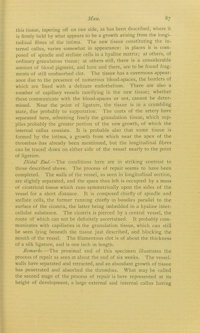 this tissue, tapering off on one side, as has been described, where it is firmly held by what appears to be a growth arising from the longi- tudinal fibres of the intima. The new tissue constituting the in- ternal callus, varies somewhat in appearance: in places it is com- posed of spindle and stellate cells in a hyaline matrix; at others, of ordinary granulation tissue; at others still, there is a considerable amount of blood pigment, and here and there, are to be found frag- ments of still unabsorbed clot. The tissue has a cavernous appear- ance due to the presence of numerous blood-spaces, the borders of which are lined with a delicate endothelium. There are also a number of capillary vessels ramifying in the new tissue; whether these communicate with the blood-spaces or not, cannot be deter- mined. Near the point of ligature, the tissue is in a crumbling state, due probably to suppuration. The coats of the artery have separated here, admitting freely the granulation tissue, which sup- plies probably the greater portion of the new growth, of which the internal callus consists. It is probable also that some tissue is formed by the intima, a growth from which near the apex of the thrombus has already been mentioned, but the longitudinal fibres can be traced down on either side of the vessel nearly to the point of ligature. Distal End.—The conditions here are in striking contrast to those described above. The process of repair seems to have been completed. The walls of the vessel, as seen in longitudinal section, are slightly separated, and the space thus left is occupied by a mass of cicatricial tissue which runs symmetrically upon the sides of the vessel for a short distance. It is composed chiefly of spindle and stellate cells, the former running chiefly in bundles parallel to the surface of the cicatrix, the latter being imbedded in a hyaline inter- cellular substance. The cicatrix is pierced by a central vessel, the route of which can not be definitely ascertained. It probably com- municates with capillaries in the granulation tissue, which can still be seen lying beneath the tissue just described, and blocking the mouth of the vessel. The filamentous clot is of about the thickness of a silk ligature, and is one inch in length. Remarks.—The proximal end of this specimen illustrates the process of repair as seen at about the end of six weeks. The vessel- walls have separated and retracted, and an abundant growth of tissue has penetrated and absorbed the thrombus. What may be called the second stage of the process of repair is here represented at its height of development, a large external and internal callus having