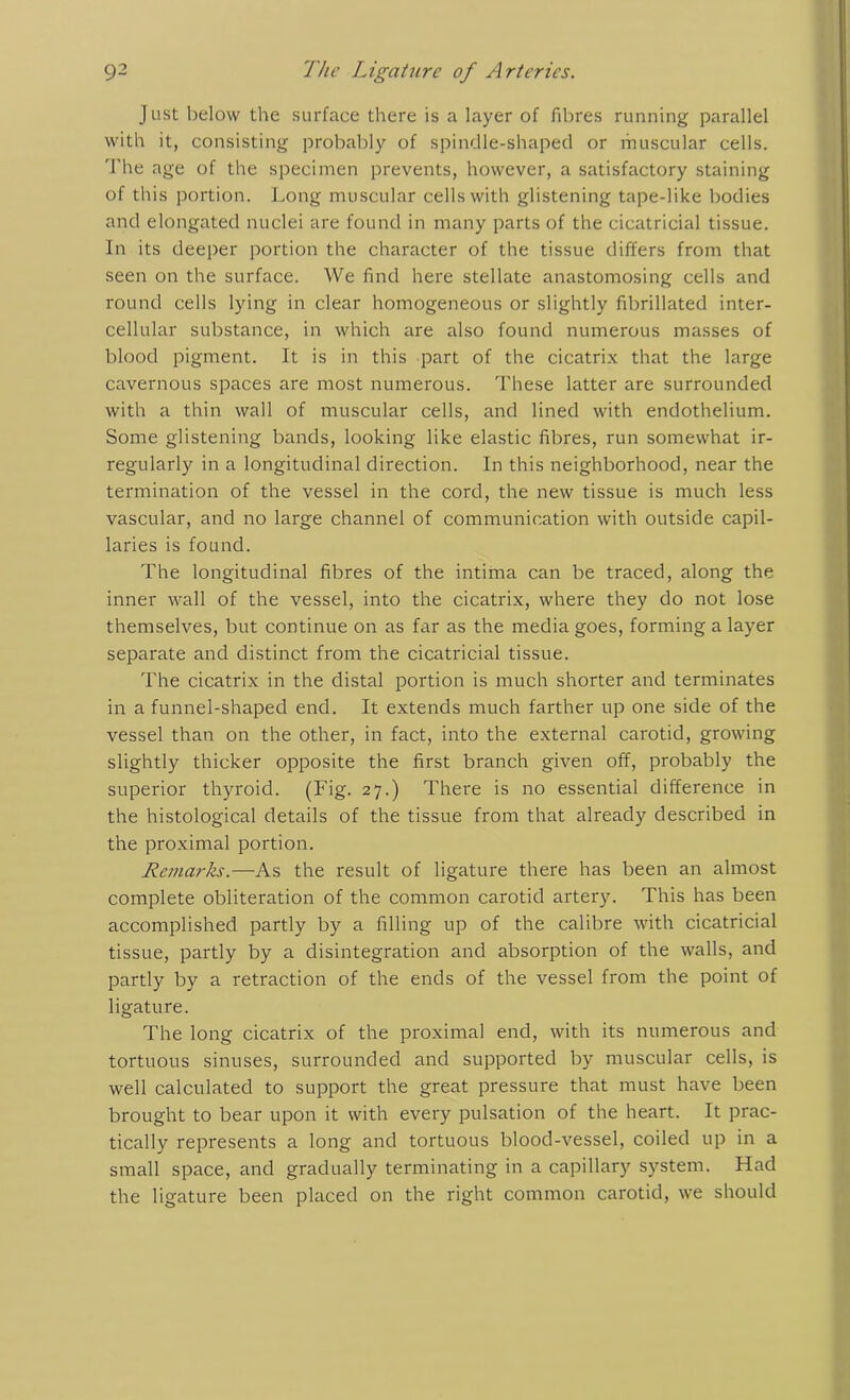 Just below the surface there is a layer of fibres running parallel with it, consisting probably of spindle-shaped or muscular cells. The age of the specimen prevents, however, a satisfactory staining of this portion. Long muscular cells with glistening tape-like bodies and elongated nuclei are found in many parts of the cicatricial tissue. In its deeper portion the character of the tissue differs from that seen on the surface. We find here stellate anastomosing cells and round cells lying in clear homogeneous or slightly fibrillated inter- cellular substance, in which are also found numerous masses of blood pigment. It is in this part of the cicatrix that the large cavernous spaces are most numerous. These latter are surrounded with a thin wall of muscular cells, and lined with endothelium. Some glistening bands, looking like elastic fibres, run somewhat ir- regularly in a longitudinal direction. In this neighborhood, near the termination of the vessel in the cord, the new tissue is much less vascular, and no large channel of communication with outside capil- laries is found. The longitudinal fibres of the intima can be traced, along the inner wall of the vessel, into the cicatrix, where they do not lose themselves, but continue on as far as the media goes, forming a layer separate and distinct from the cicatricial tissue. The cicatrix in the distal portion is much shorter and terminates in a funnel-shaped end. It extends much farther up one side of the vessel than on the other, in fact, into the external carotid, growing slightly thicker opposite the first branch given off, probably the superior thyroid. (Fig. 27.) There is no essential difference in the histological details of the tissue from that already described in the proximal portion. Remarks.—As the result of ligature there has been an almost complete obliteration of the common carotid artery. This has been accomplished partly by a filling up of the calibre with cicatricial tissue, partly by a disintegration and absorption of the walls, and partly by a retraction of the ends of the vessel from the point of ligature. The long cicatrix of the proximal end, with its numerous and tortuous sinuses, surrounded and supported by muscular cells, is well calculated to support the great pressure that must have been brought to bear upon it with every pulsation of the heart. It prac- tically represents a long and tortuous blood-vessel, coiled up in a small space, and gradually terminating in a capillary system. Had the ligature been placed on the right common carotid, we should