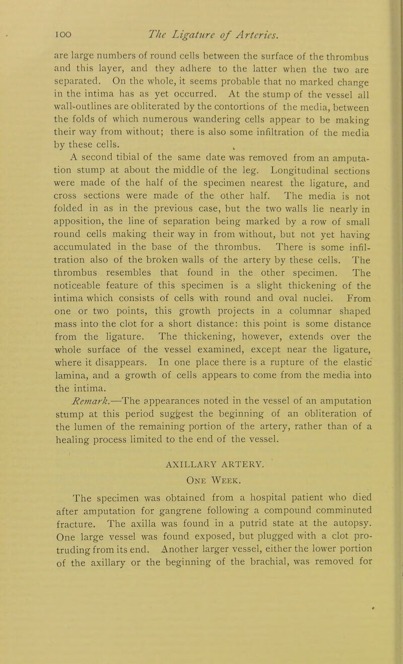 are large numbers of round cells between the surface of the thrombus and this layer, and they adhere to the latter when the two are separated. On the whole, it seems probable that no marked change in the intima has as yet occurred. At the stump of the vessel all wall-outlines are obliterated by the contortions of the media, between the folds of which numerous wandering cells appear to be making their way from without; there is also some infiltration of the media by these cells. A second tibial of the same date was removed from an amputa- tion stump at about the middle of the leg. Longitudinal sections were made of the half of the specimen nearest the ligature, and cross sections were made of the other half. The media is not folded in as in the previous case, but the two walls lie nearly in apposition, the line of separation being marked by a row of small round cells making their way in from without, but not yet having accumulated in the base of the thrombus. There is some infil- tration also of the broken walls of the artery by these cells. The thrombus resembles that found in the other specimen. The noticeable feature of this specimen is a slight thickening of the intima which consists of cells with round and oval nuclei. From one or two points, this growth projects in a columnar shaped mass into the clot for a short distance: this point is some distance from the ligature. The thickening, however, extends over the whole surface of the vessel examined, except near the ligature, where it disappears. In one place there is a rupture of the elastic lamina, and a growth of cells appears to come from the media into the intima. Remark.—The appearances noted in the vessel of an amputation stump at this period suggest the beginning of an obliteration of the lumen of the remaining portion of the artery, rather than of a healing process limited to the end of the vessel. AXILLARY ARTERY. One Week. The specimen was obtained from a hospital patient who died after amputation for gangrene following a compound comminuted fracture. The axilla was found in a putrid state at the autopsy. One large vessel was found exposed, but plugged with a clot pro- truding from its end. Another larger vessel, either the lower portion of the axillary or the beginning of the brachial, was removed for