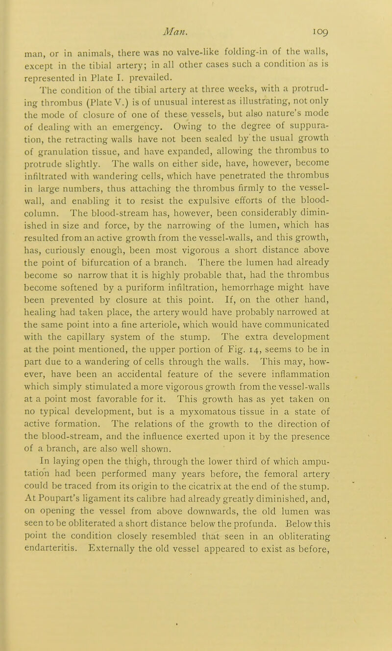 man, or in animals, there was no valve-like folding-in of the walls, except in the tibial artery; in all other cases such a condition as is represented in Plate I. prevailed. The condition of the tibial artery at three weeks, with a protrud- ing thrombus (Plate V.) is of unusual interest as illustrating, not only the mode of closure of one of these vessels, but also nature’s mode of dealing with an emergency. Owing to the degree of suppura- tion, the retracting walls have not been sealed by the usual growth of granulation tissue, and have expanded, allowing the thrombus to protrude slightly. The walls on either side, have, however, become infiltrated with wandering cells, which have penetrated the thrombus in large numbers, thus attaching the thrombus firmly to the vessel- wall, and enabling it to resist the expulsive efforts of the blood- column. The blood-stream has, however, been considerably dimin- ished in size and force, by the narrowing of the lumen, which has resulted from an active growth from the vessel-walls, and this growth, has, curiously enough, been most vigorous a short distance above the point of bifurcation of a branch. There the lumen had already become so narrow that it is highly probable that, had the thrombus become softened by a puriform infiltration, hemorrhage might have been prevented by closure at this point. If, on the other hand, healing had taken place, the artery would have probably narrowed at the same point into a fine arteriole, which would have communicated with the capillary system of the stump. The extra development at the point mentioned, the upper portion of Fig. 14, seems to be in part due to a wandering of cells through the walls. This may, how- ever, have been an accidental feature of the severe inflammation which simply stimulated a more vigorous growth from the vessel-walls at a point most favorable for it. This growth has as yet taken on no typical development, but is a myxomatous tissue in a state of active formation. The relations of the growth to the direction of the blood-stream, and the influence exerted upon it by the presence of a branch, are also well shown. In laying open the thigh, through the lower third of which ampu- tation had been performed many years before, the femoral artery could be traced from its origin to the cicatrix at the end of the stump. At Poupart’s ligament its calibre had already greatly diminished, and, on opening the vessel from above downwards, the old lumen was seen to be obliterated a short distance below the profunda. Below this point the condition closely resembled that seen in an obliterating endarteritis. Externally the old vessel appeared to exist as before,