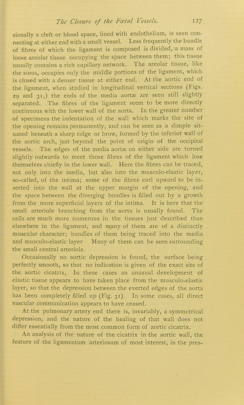 sionally a cleft or blood space, lined with endothelium, is seen con- necting at either end with a small vessel. Less frequently the bundle of fibres of which the ligament is composed is divided, a mass of loose areolar tissue occupying the space between them; this tissue usually contains a rich capillary network. '1 he areolar tissue, like the sinus, occupies only the middle portions of the ligament, which is closed with a denser tissue at either end. At the aortic end of the ligament, when studied in longitudinal vertical sections (bigs. 29 and 31,) the ends of the media aortte are seen still slightly separated. The fibres of the ligament seem to be more directly continuous with the lower wall of the aorta. In the greater number of specimens the indentation of the wall which marks the site of the opening remains permanently, and can be seen as a dimple sit- uated beneath a sharp ridge or brow, formed by the inferior wall of the aortic arch, just beyond the point of origin of the occipital vessels. The edges of the media aortas on either side are turned slightly outwards to meet those fibres of the ligament which lose themselves chiefly in the lower wall. Here the fibres can be traced, not only into the media, but also into the musculo-elastic layer, so-called, of the intima; some of the fibres curl upward to be in- serted into the wall at the upper margin of the opening, and the space between the diverging bundles is filled out by a growth from the more superficial layers of the intima. It is here that the small arteriole branching from the aorta is usually found. The cells are much more numerous in the tissues just described than elsewhere in the ligament, and many of them are of a distinctly muscular character; bundles of them being traced into the media and musculo-elastic layer Many of them can be seen surrounding the small central arteriole. Occasionally no aortic depression is found, the surface being perfectly smooth, so that no indication is given of the exact site of the aortic cicatrix. In these cases an unusual development of elastic tissue appears to have taken place from the musculo-elastic layer, so that the depression between the everted edges of the aorta has been completely filled up (Fig. 31). In some cases, all direct vascular communication appears to have ceased. At the pulmonary artery end there is, invariably, a symmetrical depression, and the nature of the healing of that wall does not differ essentially from the most common form of aortic cicatrix. An analysis of the nature of the cicatrix in the aortic wall, the feature of the ligamentum arteriosum of most interest, in the pres-