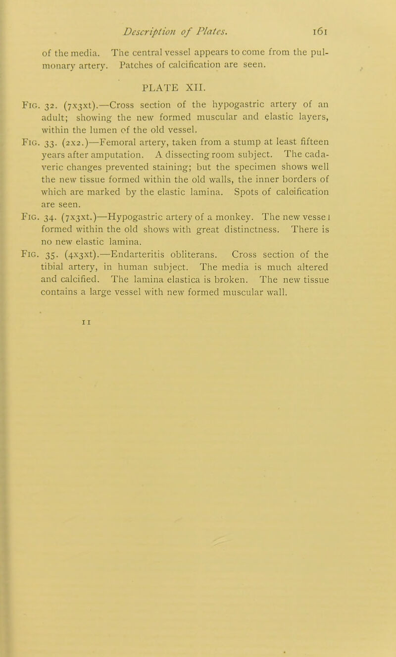 of the media. The central vessel appears to come from the pul- monary artery. Patches of calcification are seen. PLATE XII. Fig. 32. (7x3x1).—Cross section of the hypogastric artery of an adult; showing the new formed muscular and elastic layers, within the lumen of the old vessel. Fig. 33. (2x2.)—Femoral artery, taken from a stump at least fifteen years after amputation. A dissecting room subject. The cada- veric changes prevented staining; but the specimen shows well the new tissue formed within the old walls, the inner borders of which are marked by the elastic lamina. Spots of calcification are seen. Fig. 34. (7x3x1.)—Hypogastric artery of a monkey. The new vesse 1 formed within the old shows with great distinctness. There is no new elastic lamina. Fig. 35. (4x3x1).—Endarteritis obliterans. Cross section of the tibial artery, in human subject. The media is much altered and calcified. The lamina elastica is broken. The new tissue contains a large vessel with new formed muscular wall.