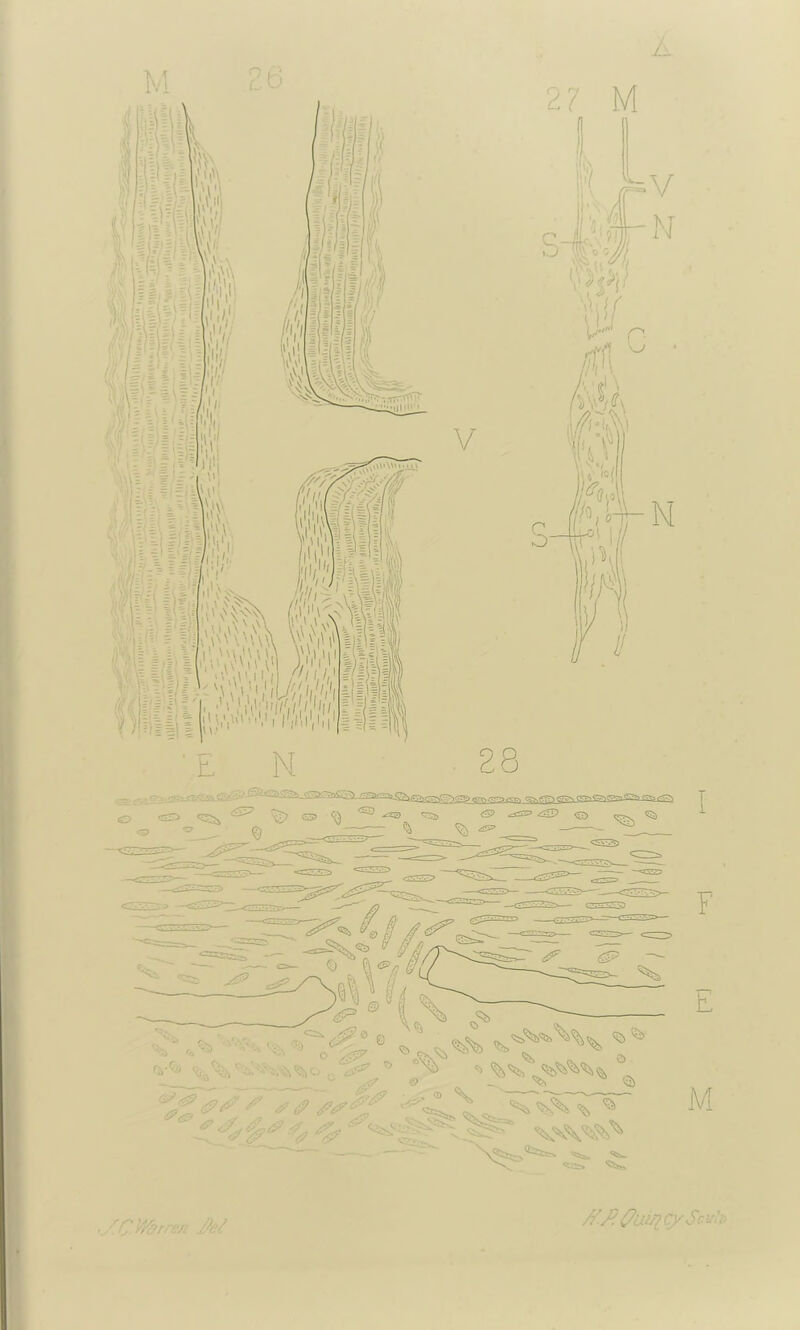 A A'/l tfwxcySci--