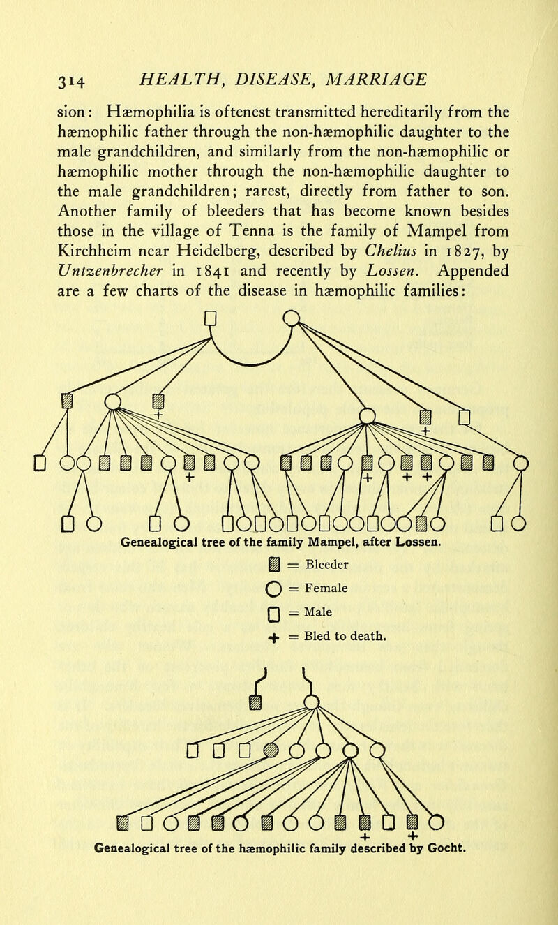 slon: Haemophilia is oftenest transmitted hereditarily from the hasmophilic father through the non-haemophilic daughter to the male grandchildren, and similarly from the non-hzemophilic or haemophilia mother through the non-hsmophilic daughter to the male grandchildren; rarest, directly from father to son. Another family of bleeders that has become known besides those in the village of Tenna is the family of Mampel from Kirchheim near Heidelberg, described by Chelius in 1827, by Untzenbrecher in 1841 and recently by Lossen. Appended are a few charts of the disease in haemophilic families: Genealogical tree of the family Mampel, after Lossen. J - Bleeder ^ = Female Q = Male <f = Bled to death. Genealogical tree of the hsmophilic family described by Gocht.