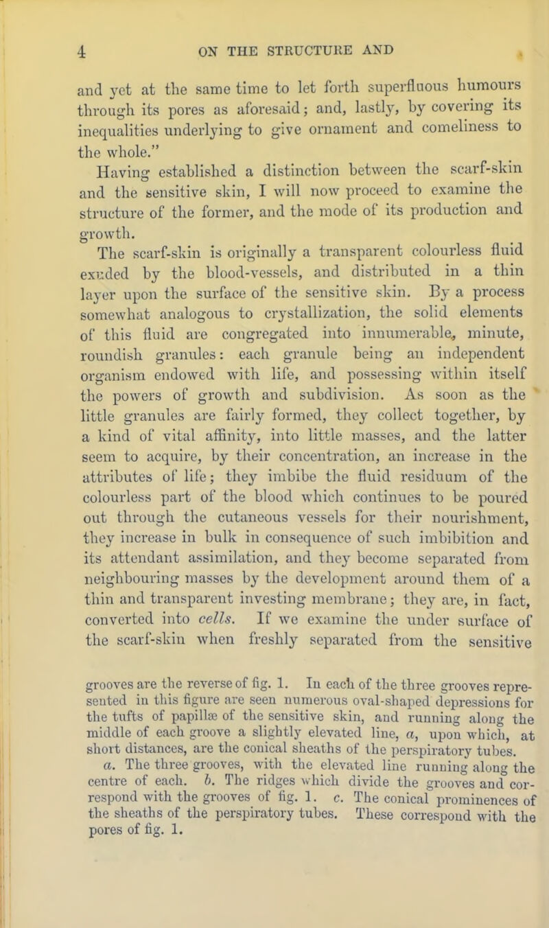 and yet at the same time to let forth superfluous humours through its pores as aforesaid; and, Listly, by covering its inequalities imderlying to give ornament and comeliness to the whole. Having established a distinction between the scarf-skin and the sensitive skin, I will now proceed to examine the structure of the former, and the mode of its production and growth. The scarf-skin is originally a transparent colourless fluid exuded by the blood-vessels, and distributed in a thin layer upon the surface of the sensitive skin. By a process somewhat analogous to crystallization, the solid elements of this fluid are congregated into innumerable^ minute, roundish granules: each granule being an independent organism endowed with life, and possessing within itself the powers of growth and subdivision. As soon as the little granules are fairly formed, they collect together, by a kind of vital affinity, into little masses, and the latter seem to acquire, by their concentration, an increase in the attributes of life; they imbibe the fluid residuum of the colourless part of the blood which continues to be poured out through the cutaneous vessels for their nourishment, they increase in bulk in consequence of such imbibition and its attendant assimilation, and they become separated from neighbouring masses by the development around them of a thin and transparent investing membrane; they are, in fact, converted into cells. If we examine the under surface of the scarf-skin when freshly separated from the sensitive grooves are tlie reverse of fig. 1. lu each of the three grooves repre- seuted iii this figure are seen numerous oval-shaped depressions for the tufts of papillaa of the sensitive skin, and running along the middle of each groove a slightly elevated line, a, upon which, at short distances, are the conical sheaths of the perspiratory tubes. a. The three grooves, with the elevated line running along the centre of each. h. The ridges which divide the grooves and cor- respond with the grooves of fig. 1. c. The conical prominences of the sheaths of the perspiratory tubes. These correspond with the pores of fig. 1.