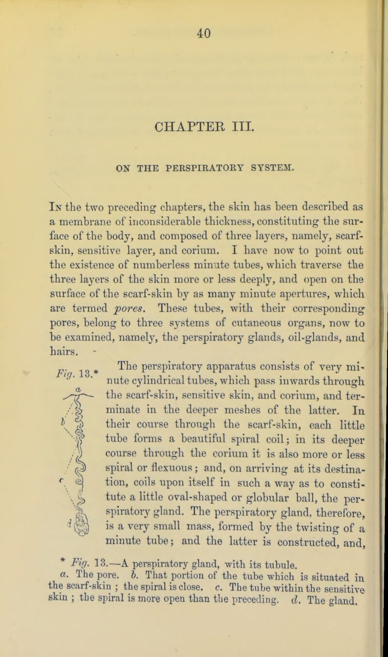 CHAPTER III. ON THE PERSPIRATORY SYSTEM. FUj. 13. In the two preceding chapters, the skin has been described as a membrane of inconsiderable thickness, constituting the sur- face of the body, and composed of three layers, namely, scarf- skin, sensitive layer, and corium. I have now to point out the existence of numberless minute tubes, which traverse the three layers of the skin more or less deeply, and open on the surface of the scarf-skin by as many minute apertures, which are termed fores. These tubes, with their corresponding pores, belong to three systems of cutaneous organs, now to be examined, namely, the perspiratory glands, oil-glands, and hairs. The perspiratory apparatus consists of very mi- nute cylindrical tubes, which pass inwards through the scarf-skin, sensitive skin, and corium, and ter- minate in the deeper meshes of the latter. In their course through the scarf-skin, each little tube forms a beautiful spiral coil; in its deeper course through the corium it is also more or less spiral or flexuous ; and, on arriving at its destina- tion, coils upon itself in such a way as to consti- tute a little oval-shaped or globular ball, the per- spiratory gland. The perspiratory gland, therefore, is a very small mass, fonned by the twisting of a minute tube; and the latter is constructed, and, * Fig. 13.—A perspiratory gland, with its tubule. a. The pore. h. That portion of the tube which is situated in the scarf-skin ; the spiral is close, c. Thetube within the sensitive skin ; the spiral is more open than the preceding, d. The gland.