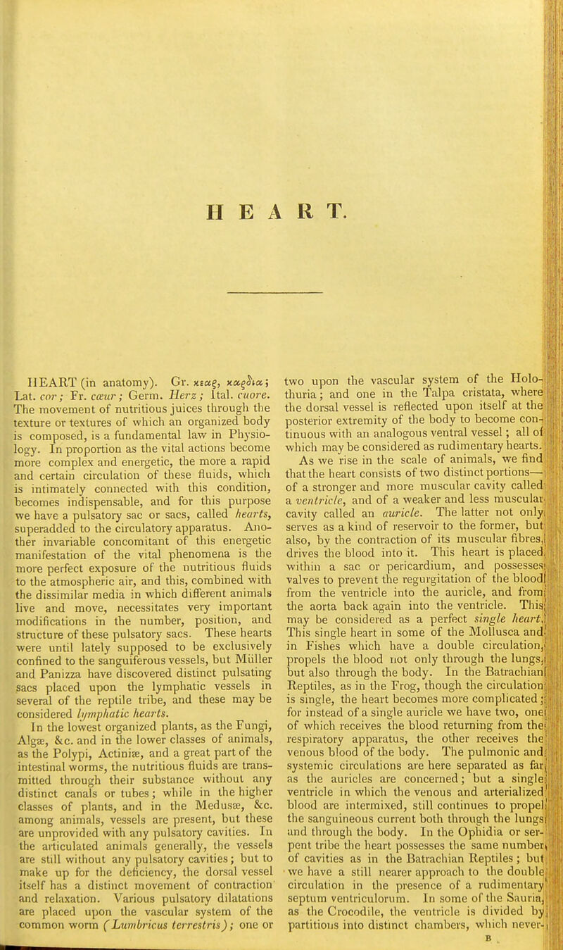 HEART (in anatomy). Gv. xeaf, xag^(«; Lat. cor; Fr. caur; Germ. Herz; Ital. cuore. The movement of nutritious juices through the texture or textures of which an organized body is composed, is a fundamental law in Physio- logy. In proportion as the vital actions become more complex and energetic, the more a rapid and certain circulation of these fluids, which is intimately connected with this condition, becomes indispensable, and for this purpose we have a pulsatoiy sac or sacs, called hearts, superadded to the circulatory apparatus. Ano- ther invariable concomitant of this energetic manifestation of the vital phenomena is the more perfect exposure of the nutritious fluids to the atmospheric air, and this, combined with the dissimilar media in which difierent animals live and move, necessitates very important modifications in the number, position, and Structure of these pulsatory sacs. These hearts were until lately supposed to be exclusively confined to the sanguiferous vessels, but Miiller and Panizza have discovered distinct pulsating sacs placed upon the lymphatic vessels in several of the reptile tribe, and these may be considered lymphatic hearts. In the lowest organized plants, as the Fungi, Algae, &c. and in the lower classes of animals, as the Polypi, Actinise, and a great part of the intestinal worms, the nutritious fluids are trans- mitted through their substance without any distinct canals or tubes; while in the higher classes of plants, and in the Medusa, &c. among animals, vessels are present, but these are unprovided with any pulsatory cavities. In the articulated animals generally, the vessels are still without any pulsatory cavities; but to make up for the deficiency, the dorsal vessel itself has a distinct movement of contraction' and relaxation. Various pulsatory dilatations are placed upon the vascular system of the common worm (Lumbricus terrestris); one or two upon the vascular system of the Holo- thuria; and one in the Talpa cristata, where the dorsal vessel is reflected upon itself at the posterior extremity of the body to become con- tinuous with an analogous ventral vessel; all of which may be considered as rudimentary hearts. As we rise in the scale of animals, we find that the heart consists of two distinct portions— of a stronger and more muscular cavity called a ventricle, and of a weaker and less muscular cavity called an auricle. The latter not only serves as a kind of reservoir to the former, but also, by the contraction of its muscular fibres,; drives the blood into it. This heart is placed, within a sac or pericardium, and possesses' valves to prevent the regurgitation of the bloodi from the ventricle into the auricle, and from; the aorta back again into the ventricle. This;' may be considered as a perfect single hearth This single heart in some of the Mollusca and' in Fishes which have a double circulation,' propels the blood not only through the lungs.i but also through the body. In the BatrachianI Reptiles, as in the Frog, though the circulation- is single, the heart becomes more complicated for instead of a single auricle we have two, onei of which receives the blood returning from the^ respiratory apparatus, the other receives the venous blood of the body. The pulmonic and: systemic circulations are here separated as far, as the auricles are concerned; but a single: ventricle in which the venous and arterialized' blood are intermixed, still continues to propel ' the sanguineous current both through the lungs and through the body. In the Ophidia or ser- pent tribe the heart possesses the same numberi, of cavities as in the Batrachian Reptiles; but we have a still nearer approach to the double circulation in the presence of a rudimentary septum ventriculorum. In some of the Sauria, as the Crocodile, the ventricle is divided by, partitions into distinct chambers, which never-1