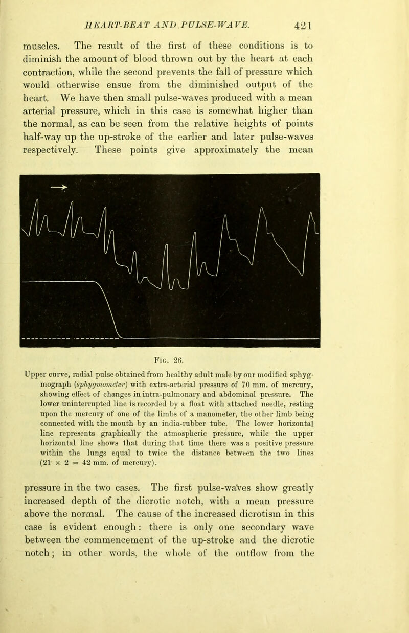 muscles. The result of the first of these conditions is to diminish the amount of blood thrown out by the heart at each contraction, while the second prevents the fall of pressure which would otherwise ensue from the diminished output of the heart. We have then small pulse-waves produced with a mean arterial pressure, which in this case is somewhat higher than the normal, as can be seen from the relative heights of points half-way up the up-stroke of the earlier and later pulse-waves respectively. These points give approximately the mean Fig. 26. Upper curve, nulial pulse obtained from healthy adult male by our modified sphyg- mograph (sphygmometer) with extra-arterial pressure of 70 mm. of mercury, showing effect of changes in intra-pulmonary and abdominal pressure. The lower uninterrupted line is recorded by a float with attached needle, resting upon the mercury of one of the limbs of a manometer, the other limb being connected with the mouth by an india-rubber tube. The lower horizontal line represents graphically the atmospheric pressure, while the upper horizontal line shows that during that time there was a positive pressure within the lungs equal to twice the distance between the two lines (21 x 2 = 42 mm. of mercury). pressure in the two cases. The first pulse-waVes show greatly increased depth of the dicrotic notch, with a mean pressure above the normal. The cause of the increased dicrotism in this case is evident enough: there is only one secondary wave between the commencement of the up-stroke and the dicrotic notch; in other words, the whole of the outflow from the