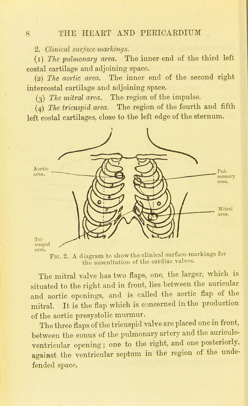 2. Clinical surfacc-marldngs. (1) The pulmonary area. The inner end of the third left costal cartilage and adjoining space. (2) The aortic area. The inner end of the second right intercostal cartilage and adjoining space. (3) The mitral area. The region of the impulse. (4) The tricuspid area. The region of the fourth and fifth left costal cartilages, close to the left edge of the sternum. Fig. 2. A diagram to show the clinical surface-markings for the auscultation of the cardiac valves. The mitral valve has two flaps, one, the larger, which is situated to the right and in front, lies between the auricular and aortic openings, and is called the aortic flap of the mitral. It is the flap which is concerned in the production of the aortic presystolic murmur. The three flaps of the tricuspid valve are placed one in front, between the conus of the pulmonary artery and the auriculo- ventricular opening; one to the right, and one posteriorly, against the ventricular septum in the region of the unde- fended space.