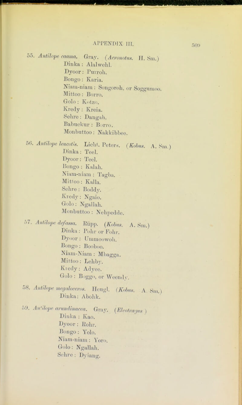 55. Antilope caama. Gray. (Aeronotm. H. Sm.) Dinka : AlalweM. Dyoor: Purrob. Bongo: Karia. Niani-niam: Songoroh, or Soggumob. Mittoo: Borro. Golo : Kotzo. Kredy : Kreia. Sehre: Dangab. Babuckur : Borro. Monbuttoo: Nakkibbee. 56. Antilope hucotis. Licbt. Peters. (Kobus. A. Sm ) Dinka: Teel. Dyoor: Tee]. Bongo : Kalah. Niam-niam : Tagba. Mitfoo: Kalla. Sein e : Boddy. Kredy: Ngaio. Golo : NgalJah. Monbuttoo : Nebpedde. 57. Antilope defcusa. Rtipp. (Kobus. A. Sm.) Dinka : Pobr or Fohr. Dyoor: LTmmoowoli. Bongo : Booboo. Niam-Niam : Mbagga. Mittoo: Lebby. Kiedy: Adyco. (In],) : Boggo, or Weendy. 58. Antilope megaloceros. Heugl. (Kobm, A. Sm.) Dinka: Abolik. 59. Antilope urundinarcn. Gray. (Eleoirayw) Dinka : Kao. Dyoor : Robr. Bongo : Yolo. Niam-niam: Yofo. Golo: Ngallab. Sehre : Dyiang.