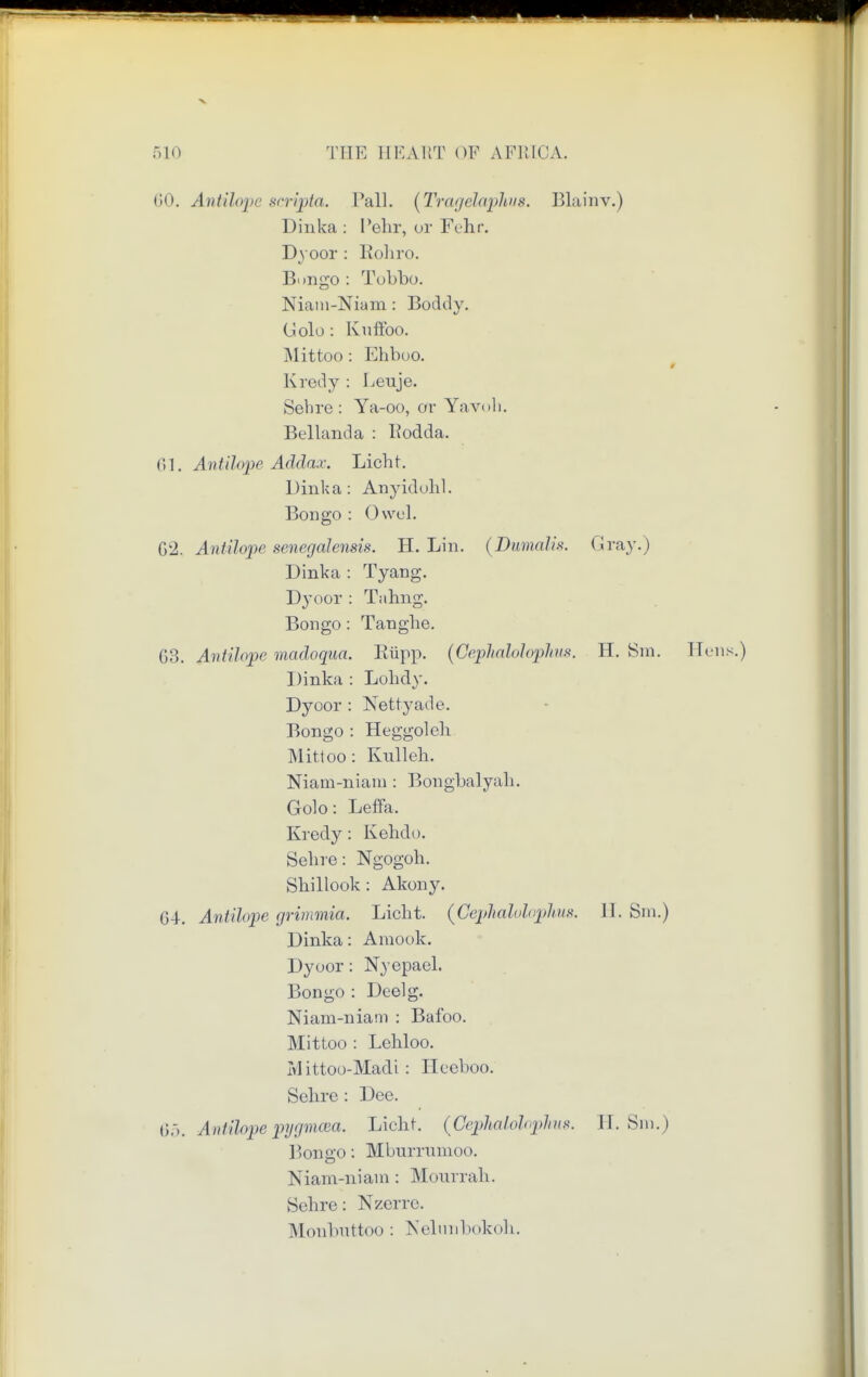 60. Antilope scripta. Pall. (Tragelaphus. Blainv.) Dinka : Pehr, or Fehr. Dyoor : Rohro. Bongo : Tubbo. Niam-Nium : Boddy. (Jolo : Kiiftbo. Mittoo : Ehboo. i Kredy : Leuje. Sehre : Ya-oo, or Yavoli. Bellanda : Rodda. 01. Antilope Addax. Licht. Dinka : Anyidohl. Bongo : Owel. 62. Antilope senegalensis. H. Lin. (Dumalis. Gray.) Dinka : Tyang. Dyoor : Tahng. Bongo: Tanghe. 63. Antilope madoqua. Biipp. {Cephalolophus. H. 8m. Hens.) Dinka : Lolidy. Dyoor : Nettyade. Bongo : Heggoleh Mittoo: Kulleh. Niam-niani: Bongbalyah. Golo: Leffa. Kredy: Kehdo. Sehre: Ngogoh. Shillook: Akony. G-J-. Antilope grimmia. Licht. (Cephalolophus. II. Sm.) Dinka: Amook. Dyoor: Nyepael. Bongo : Deelg. Niam-niam : Bafoo. Mittoo : Lehloo. Ivlittoo-Madi : ITccboo. Sehre : Dee. 65. Antilope pygmcea. Licht. (Cephalolophus. H. Sm.) Bongo: Mburrumoo. Niam-niam : Mourrah. Sehre: Nzerrc. Monbuttoo : Nelunbokoh.