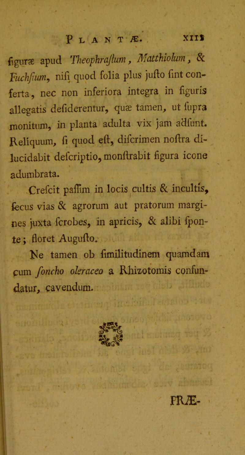 Plant /e. figure apud Theophrajlum, Matthiokim, 8c Fuchfuum, nift quod folia plus jufto Tint con- ferta, nec non inferiora integra in figuris allegatis deftderentur, qua? tamen, ut fupra monitum, in planta adulta vix jam adfunt. Reliquum, ft quod eft, difcrimen noftra di- lucidabit defcriptio, monftrabit figura icone adumbrata. Crefcit paflim in locis cultis 8c incultis, fecus vias 8c agrorum aut pratorum margi- ns juxta fcrcbes, in apricis, 8c alibi fpon- te; floret Augufto, ]SIe tamen ob fimilitudinem quamdam cum foncho okraceo a Rhizotomis confun- datur, cavendum. FRiE-