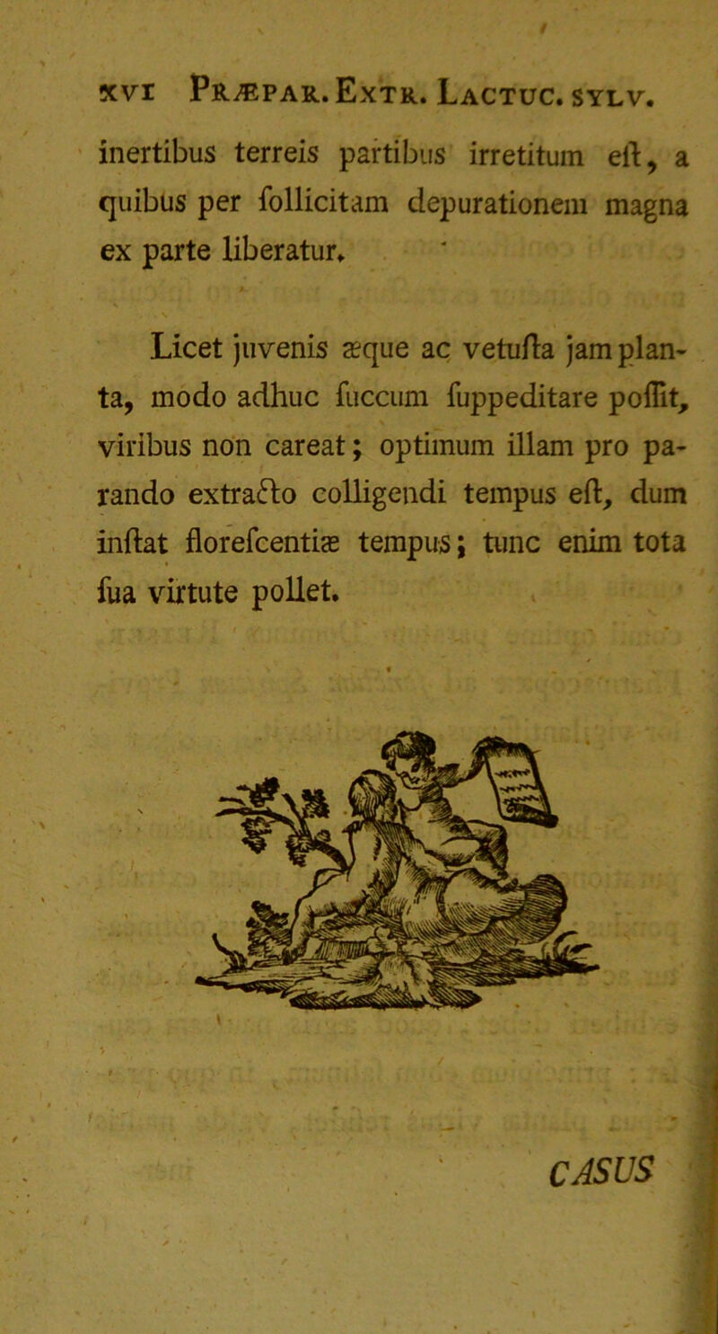 inertibus terreis partibus irretitum ell, a quibus per follicitam depurationem magna ex parte liberatur* K- * 7 Licet juvenis aeque ac vetufta jam plan- ta, modo adhuc fuccum fuppeditare poflit, viribus non careat; optimum illam pro pa- rando extra&o colligendi tempus eft, dum inftat florefcentias tempus; tunc enim tota fua virtute pollet. CASUS
