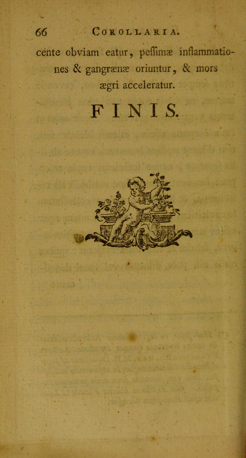 f 66 C0R.0LL.ARI A. * cente obviam eatur, peflimae inflammatio nes & gangra?n<e oriuntur, & mors segri accelerator. FINIS. i \ *