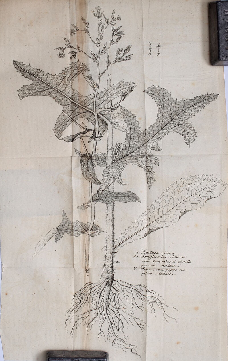 worths a. . J7). oPerni^Zaa-ctiTu*/ strZvTit'rvi/M oum eT jtnjZilZyi zn<ri. f/sjntr . ipttmz. <n//r d-it.v£Ca£b .