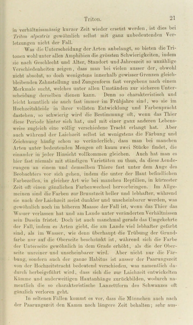 in verhältnissmässig kurzer Zeit wieder ersetzt werden, ist dies bei Triton atpestris gewöhnlich selbst mit ganz unbedeutenden Ver- letzungen niclit der Fall. Was die Unterscheid\iug der Arten anbelangt, so bieten die Tri- tonen wohl unter allen Amphibien die grössten Schwierigkeiten, indem sie nach Geschlecht und Alter, Standort und Jahreszeit so unzählige Verschiedenheiten zeigen, dass man bei vielen ausser der, obwohl nicht absolut, so doch wenigstejis innerhalb gewisser Grenzen gleich- bleibenden Zahnstellung und Zuugenform fast vergebens nach einem Merkmale sucht, welches unter allen Umständen zur sicheren Unter- scheidung derselben dienen kann. Denn so chai’akteristisch und leicht kenntlich sie auch fast immer im Frühjahre sind, wo sie im llochzeitskleide in ihrer vollsten Futwickliing und h arbenpracht dastehen, so schwierig wird die Bestimmung oft, wenn das Thier diese Periode hinter sich hat, und mit einer ganz anderen Lebens- weise zugleich eine völlig verschiedene Tracht erlangt hat. Aber auch während der Laichzeit selbst ist wenigstens die Färbung und Zeichnung häufig schon so veränderlich, dass mau bei manchen Ai'teu unter bedeutenden Mengen oft kaum zwei Stücke findet, die einander in jeder Hinsicht vollkommen gleichen. Auch hat man es hier fast niemals mit ständigen Varietäten zu thun, da diese Aende- ruugen an einem und demselben Thiere fast unter dem Auge des Beobachters vor sich gehen, indem die unter der Haut befindlichen Farbezelleu, in gleicher Art wie bei manchen Reptilien, in küi'zester Zeit oft einen gänzlichen Farbenwechsel hervorbringen. Im Allge- meinen sind die Farben zur Brunstzeit heller und lebhafter, während sie nach der Laichzeit meist dunkler und unscheinbarer werden, was gewöhnlich noch im höheren Maasse der Fall ist, wenn das Thier das Wasser verlassen hat und am Lande unter veränderten Verhältnissen sein Dasein fristet. Doch ist auch manchmal gerade das Umgekehrte der Fall, indem es xVrten giebt, die am Lande viel lebhafter gefärbt sind, als im Wasser, wie denn überhaupt die Trübung der Grund- farbe nur auf die Oberseite beschränkt ist, während sich die Fai'be der Unterseite gewöhnlich in dem Grade erhöht, als die der 01)er- seite unreiner und unscheinbarer wird. Aber nicht nur die Fär- bung, sondern auch der ganze Habitus ist ausser der Paarungszeit von der Hochzeitstracht bedeutend verschieden, was namentlich da- durch herbeigeführt wird, dass sich die zur Laichzeit entwickelten Kämme und anderweitigen Hautanhänge zurückbilden, wodurch na- mentlich die so charakteristische Lan zettform des Schwanzes oft gänzlich verloren geht. In seltenen Fällen kommt es vor, dass die Männchen auch nach der Paarungszeit den Kamm noch längere Zeit behalten; sehr aus-