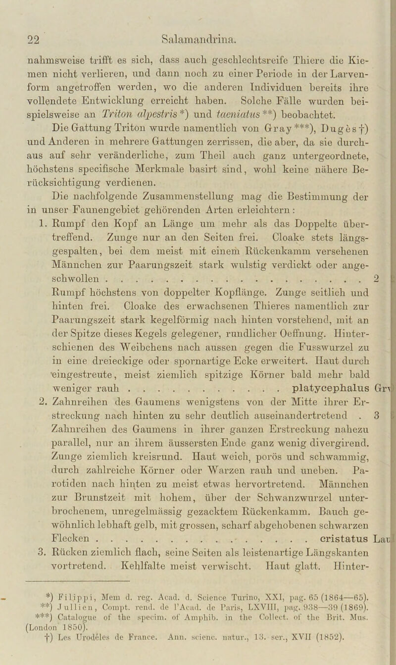 nahmsweise trifft es sich, dass auch geschleclitsreife Thiere die Kie- men nicht verlieren, und dann noch zu einer Periode in der Larven- form angetroffen werden, wo die anderen Individuen bereits ihre vollendete Entwicklung erreicht haben. Solche Fälle wurden bei- spielsweise an Triton alpestris *) und taeniatus **) beobachtet. Die Gattung Triton wurde namentlich von Gray***), Dugesf) und Anderen in mehrere Gattungen zerrissen, die aber, da sie durch- aus auf sehr veränderliche, zum Theil auch ganz untergeordnete, höchstens specifische Merkmale basirt sind, wohl keine nähere Be- rücksichtigung verdienen. Die nachfolgende Zusammenstellung mag die Bestimmung der in unser Fauneugehiet gehörenden Arten erleichtern: 1. Rumpf den Kopf an Länge um mehr als das Doppelte über- treffend. Zunge nur an den Seiten frei. Cloake stets läugs- gespalten, hei dem meist mit eineih Rückenkamm versehenen Männchen zur Paarungszeit stark wulstig verdickt oder auge- schwollen 2 Rumj)f höchstens von doppelter Kopflänge. Zunge seitlich und hinten frei. Cloake des erwachsenen Thieres namentlich zur Paarungszeit stark kegelförmig nach hinten vorstehend, mit an der Spitze dieses Kegels gelegener, rundlicher Oeffnung. Hinter- schienen des Weibchens nach aussen gegen die Fiisswurzel zu in eine dreieckige oder spornartige Ecke erweitert. Haut durch ’eiugestreute, meist ziendich spitzige Körner bald mehr bald weniger rauh platycephalus Gr\ 2. Zahnreihen des Gaumens wenigstens von der Mitte ihi'er Er- streckung nach hinten zu sehr deutlich auseinandertretend . 3 Zahnreiheu des Gaumens in ihrer ganzen Erstreckung nahezu parallel, nur an ilu'em äussersten Ende ganz wenig divergireud. Zunge ziemlich kreisrund. Haut weich, porös und schwammig, durch zahlreiche Körner oder Warzen rauh und uneben. Pa- rotiden nach hinten zu meist etwas hervortretend. Männchen zur Brunstzeit mit hohem, über der Schwanzwurzel unter- » hrochenem, unregelmässig gezacktem Rückenkamm. Bauch ge- wöhnlich lebhaft gelb, mit grossen, scharf abgehobenen schwarzen Flecken cristatus LaiJ 3. Rücken ziemlich flach, seine Seiten als leistenartige Längskanteu vortretend. Kehlfalte meist verwischt. Haut glatt. Hinter- *) Filjppi, Mem d. reg. Aciid. d. Science Turino, XXI, ])ag. 65 (1864—65l. **) .lullien, Conipt. vend. de l’Aciul. de l’aris, LXVIII, j>ag. 688—39 (1869). ***) Catalogue of’ tlie specini. oi' Amphib. in tlic Collect, of tlie Brit. Mus. (London 1850). f) Les Urod^les de France. Ann. scienc. natur., 13. ser., XVII (1852).